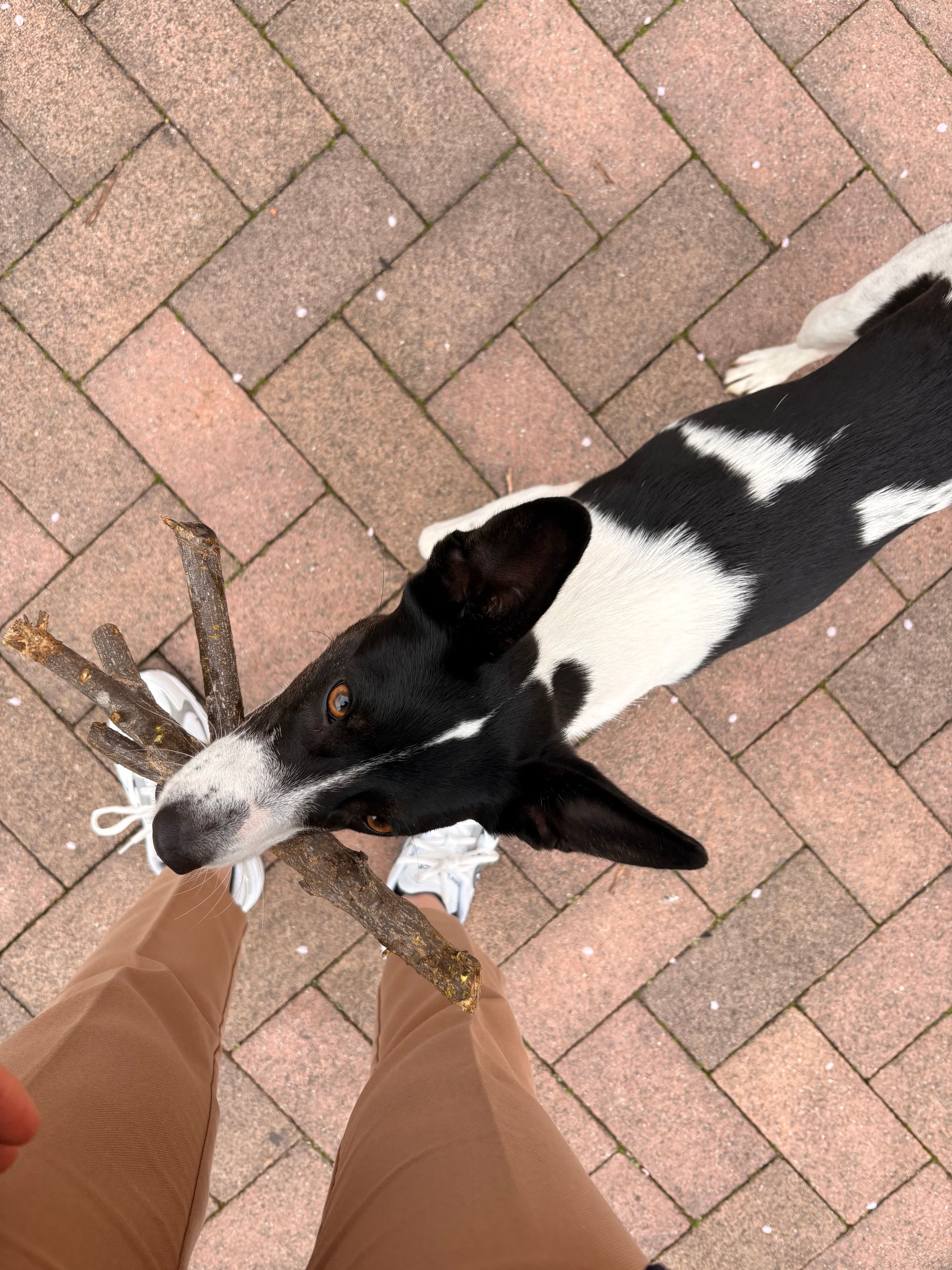 image-6