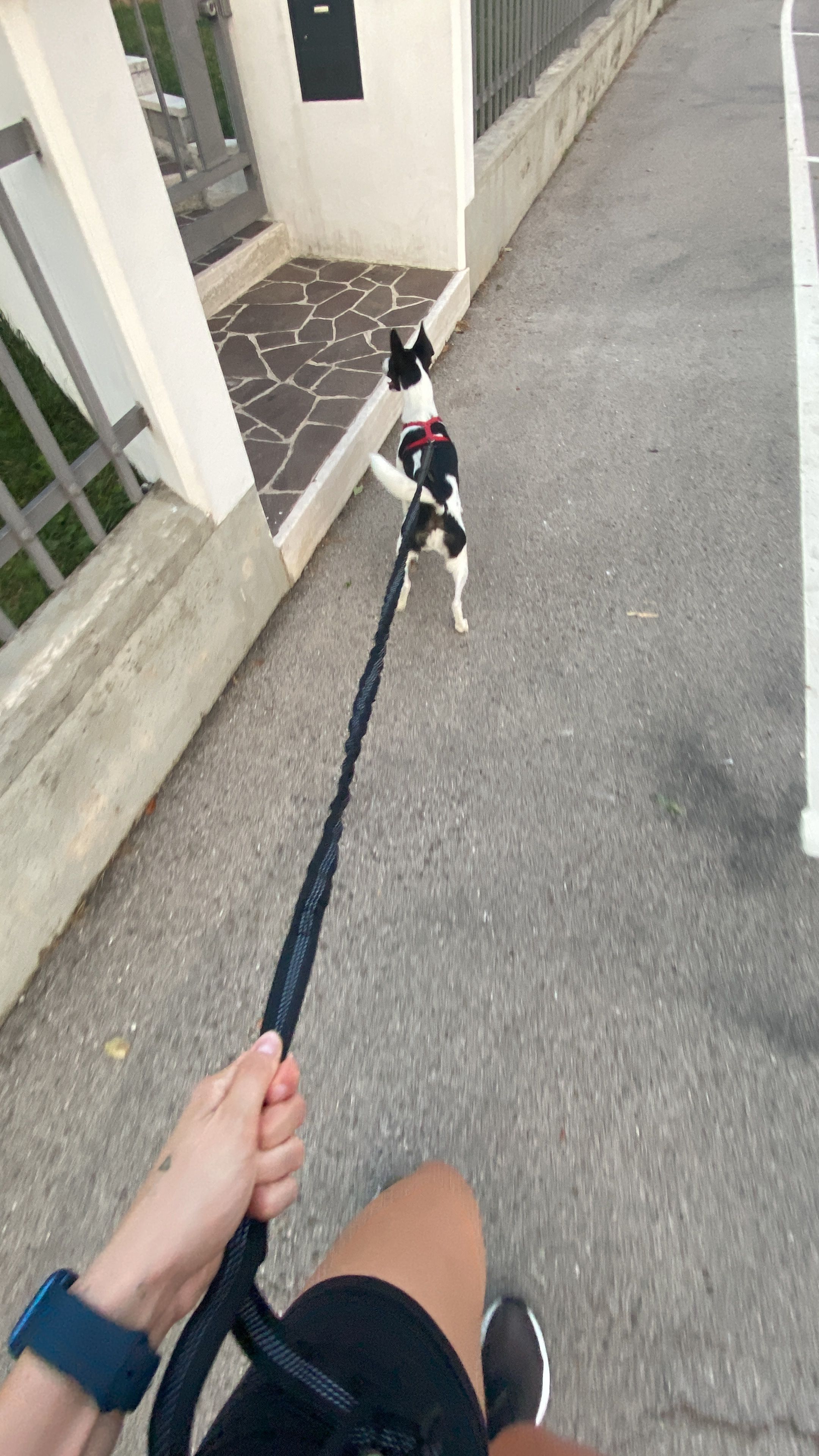 image-11