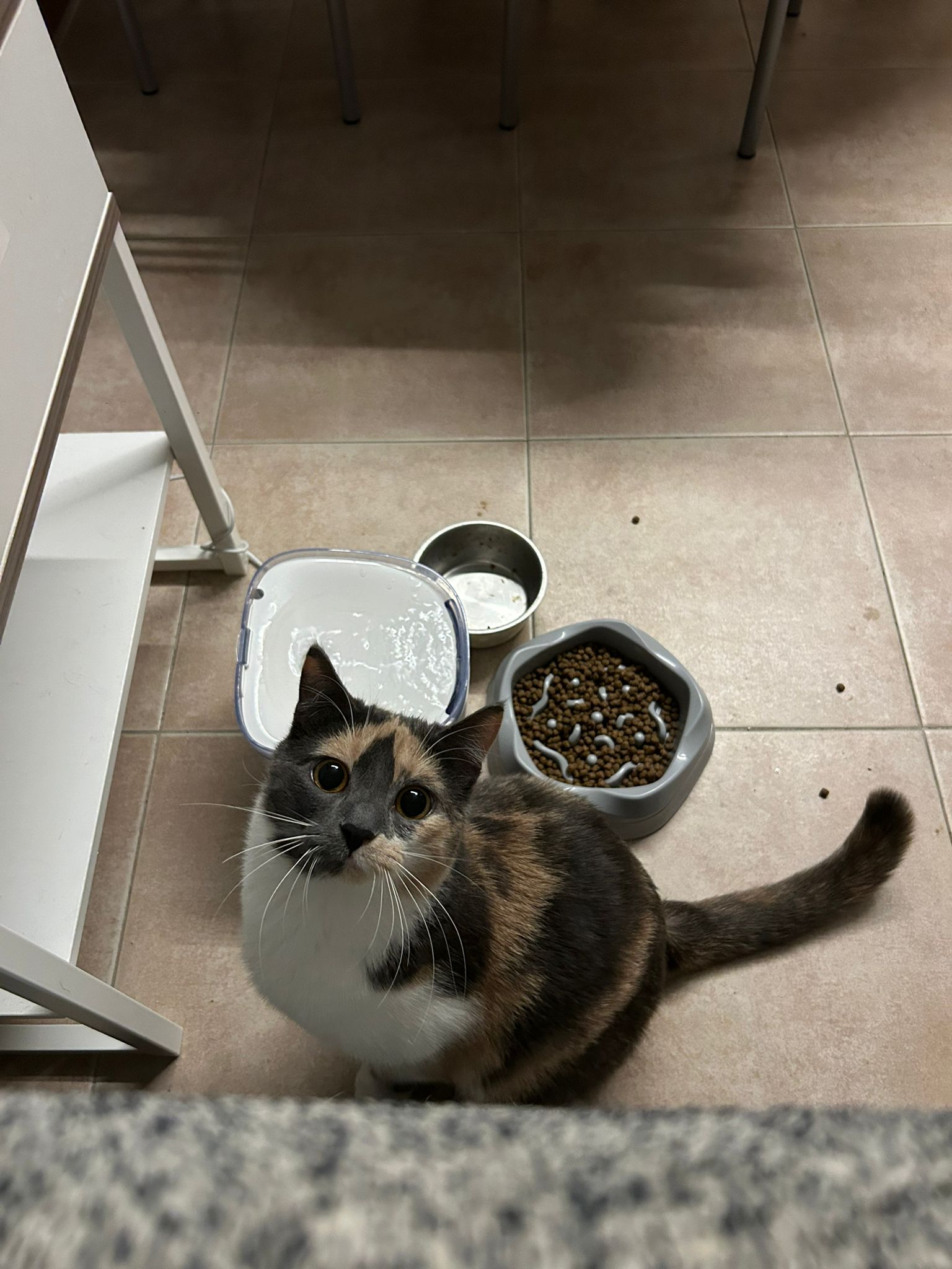 image-5