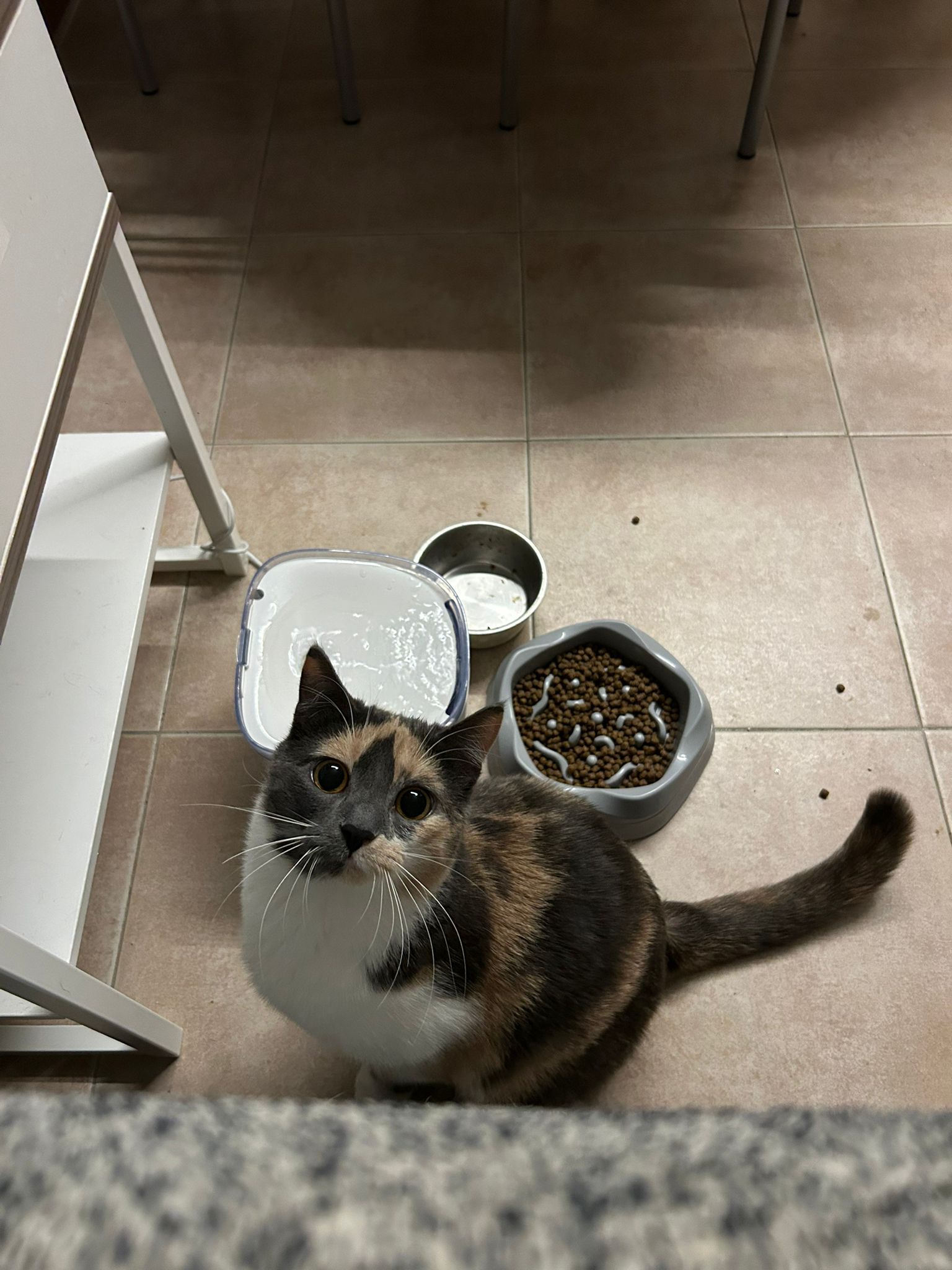 image-5