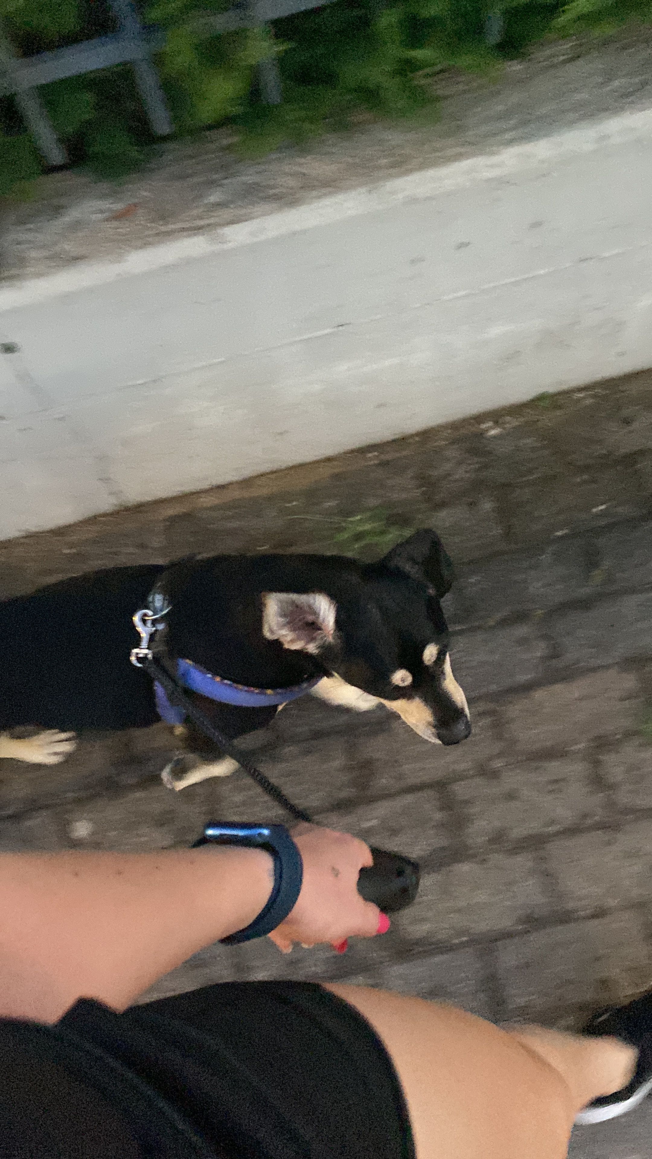 image-13