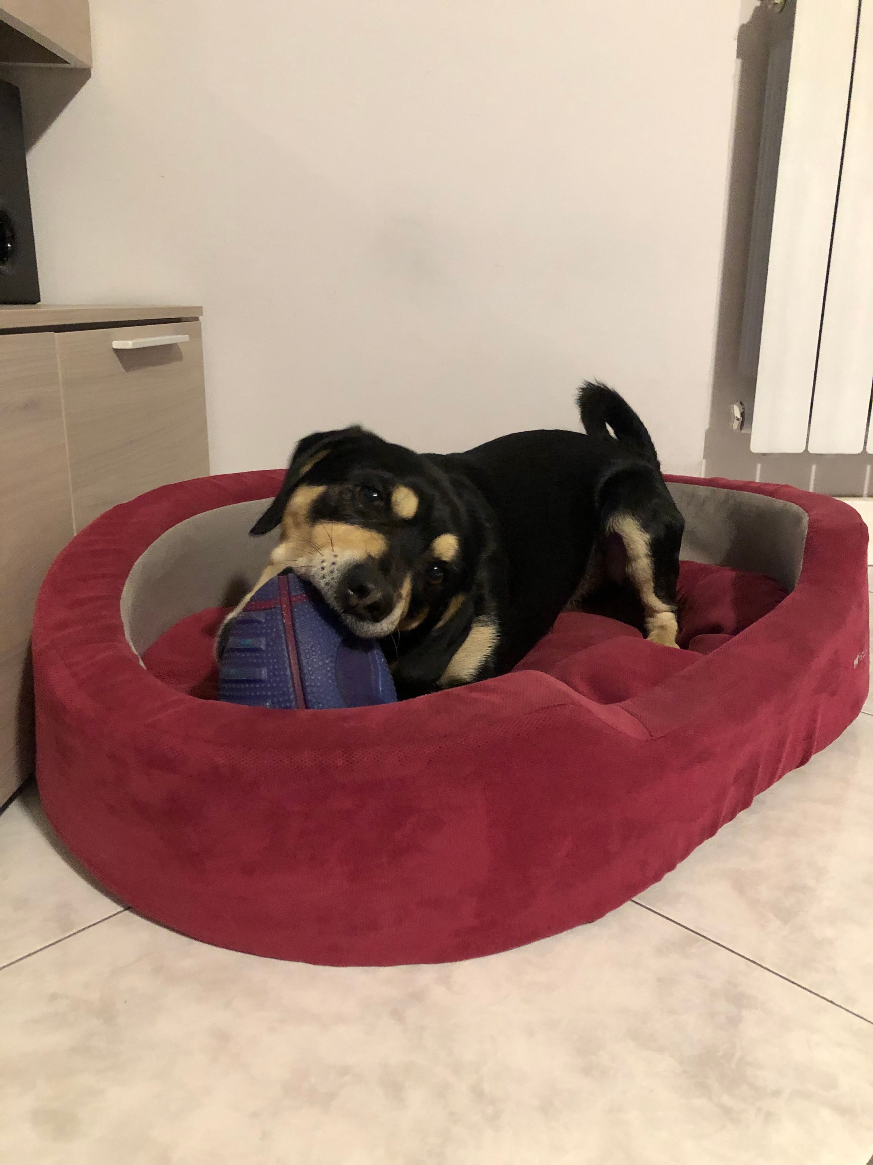 image-10