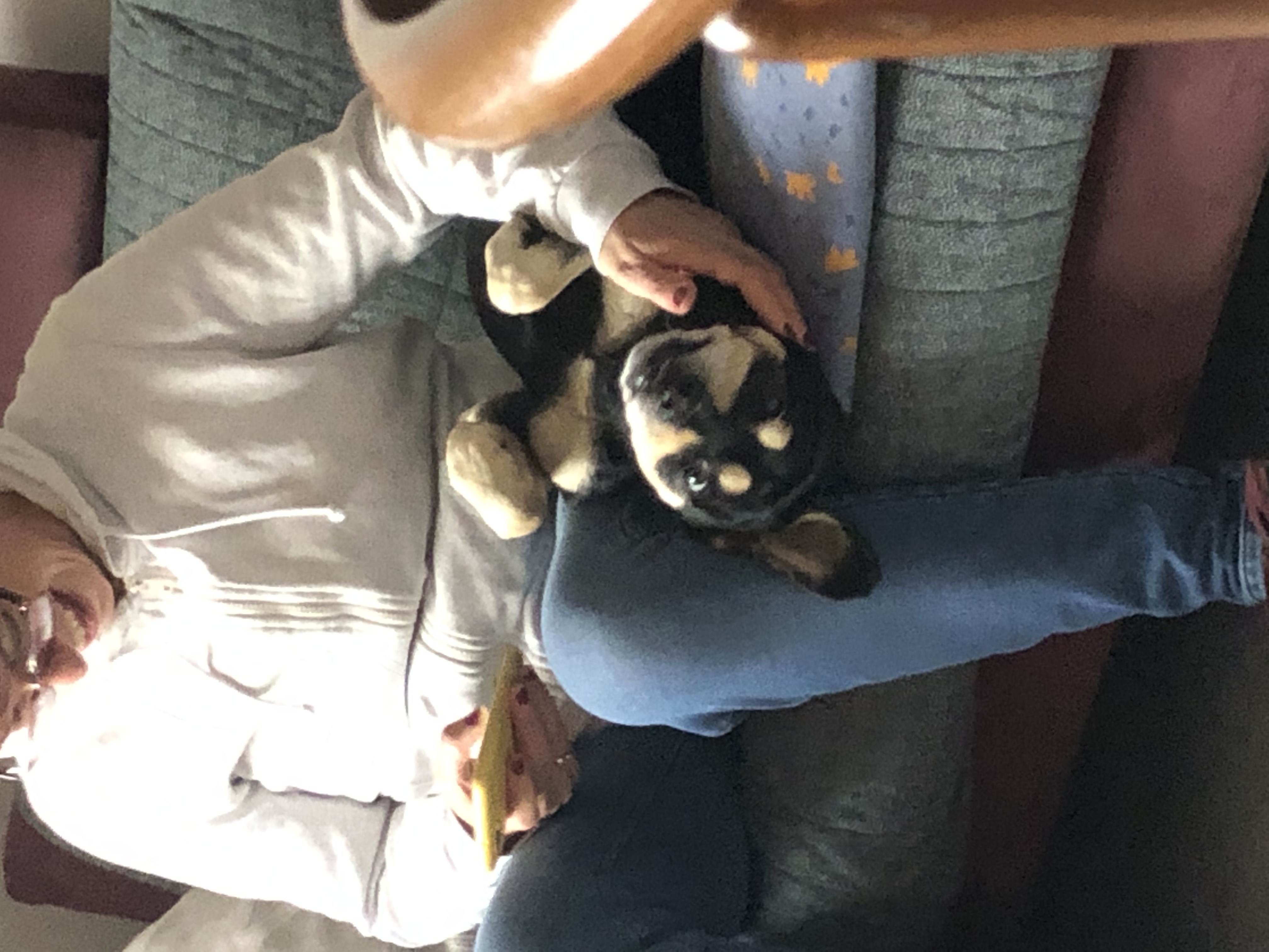 image-12