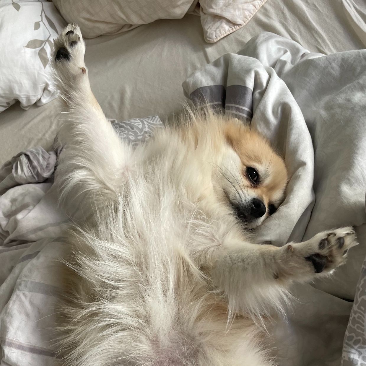 Coco