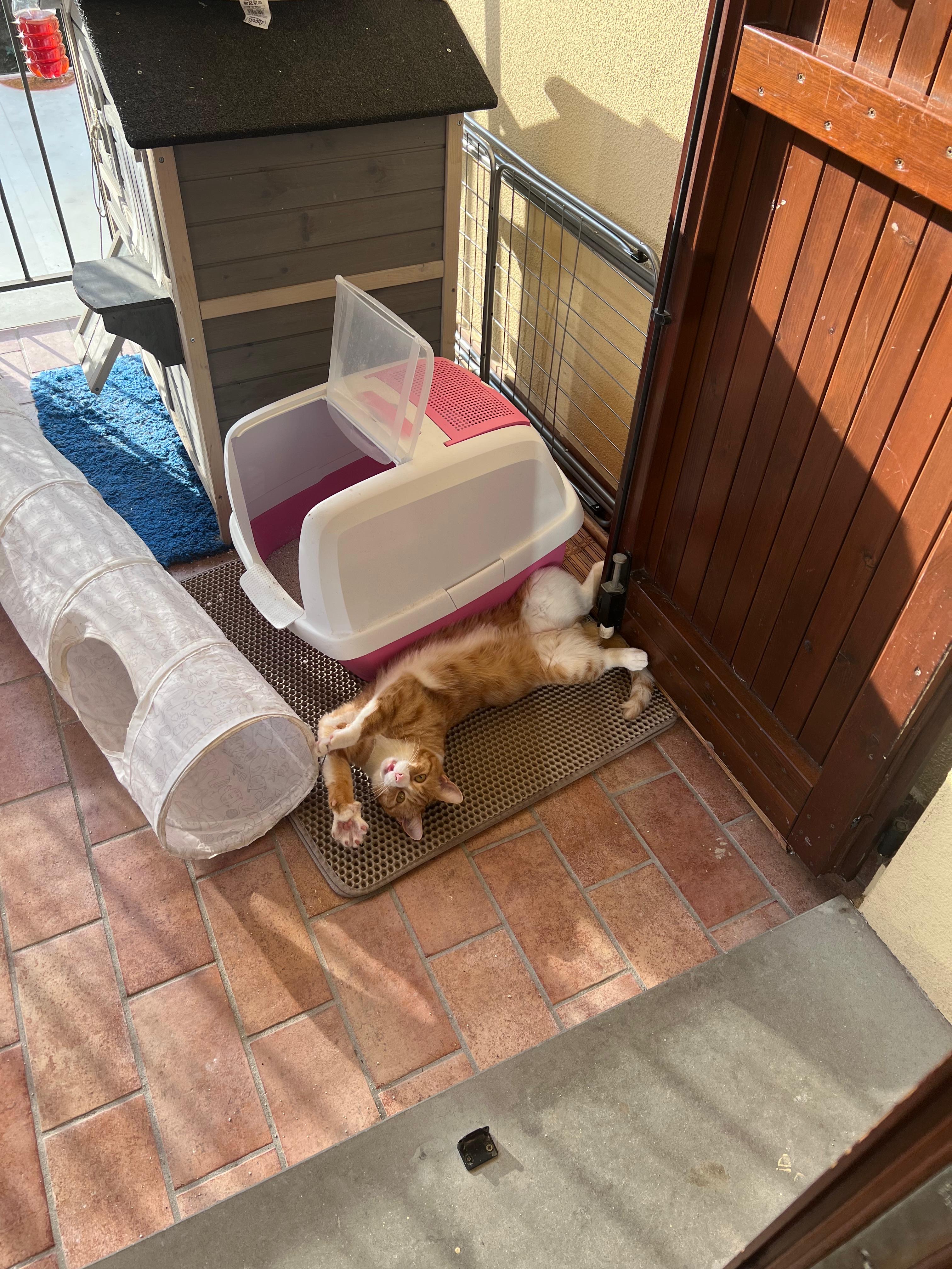 image-11