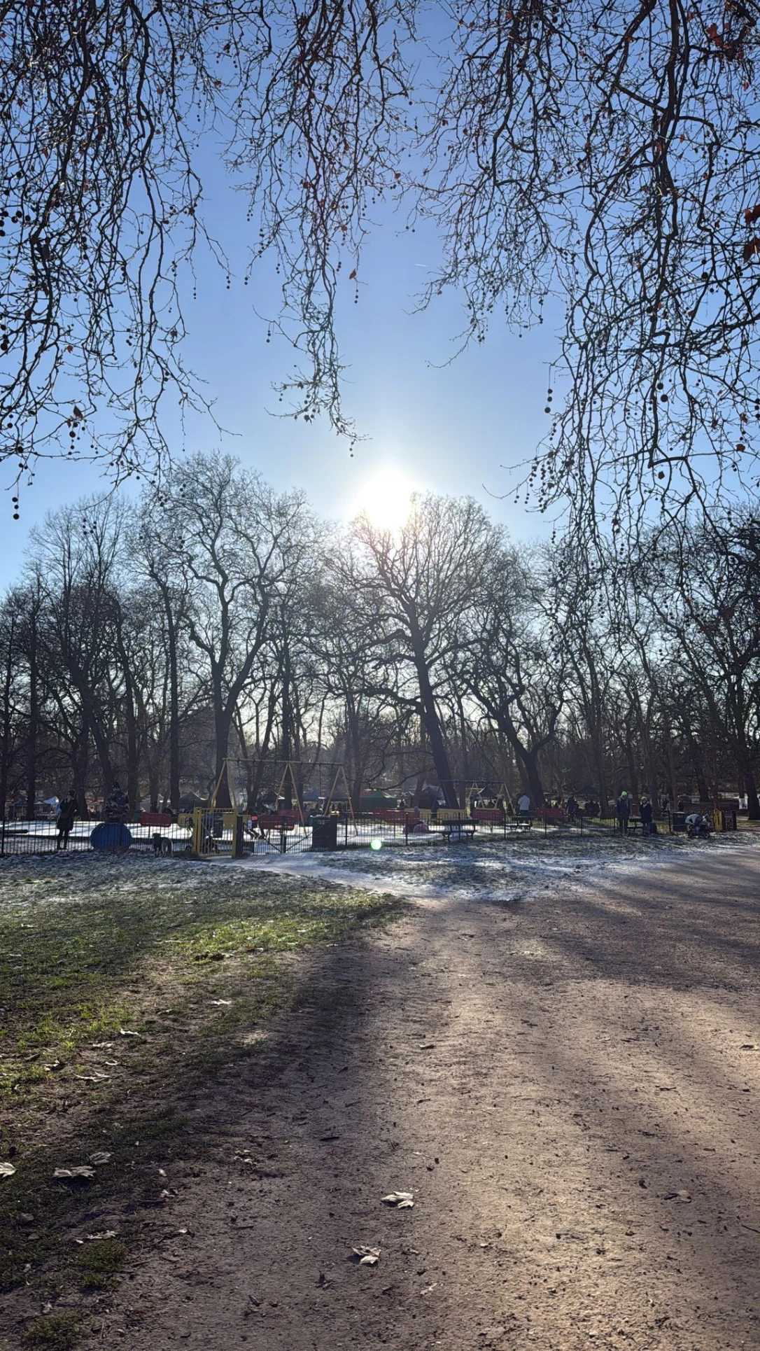 image-8