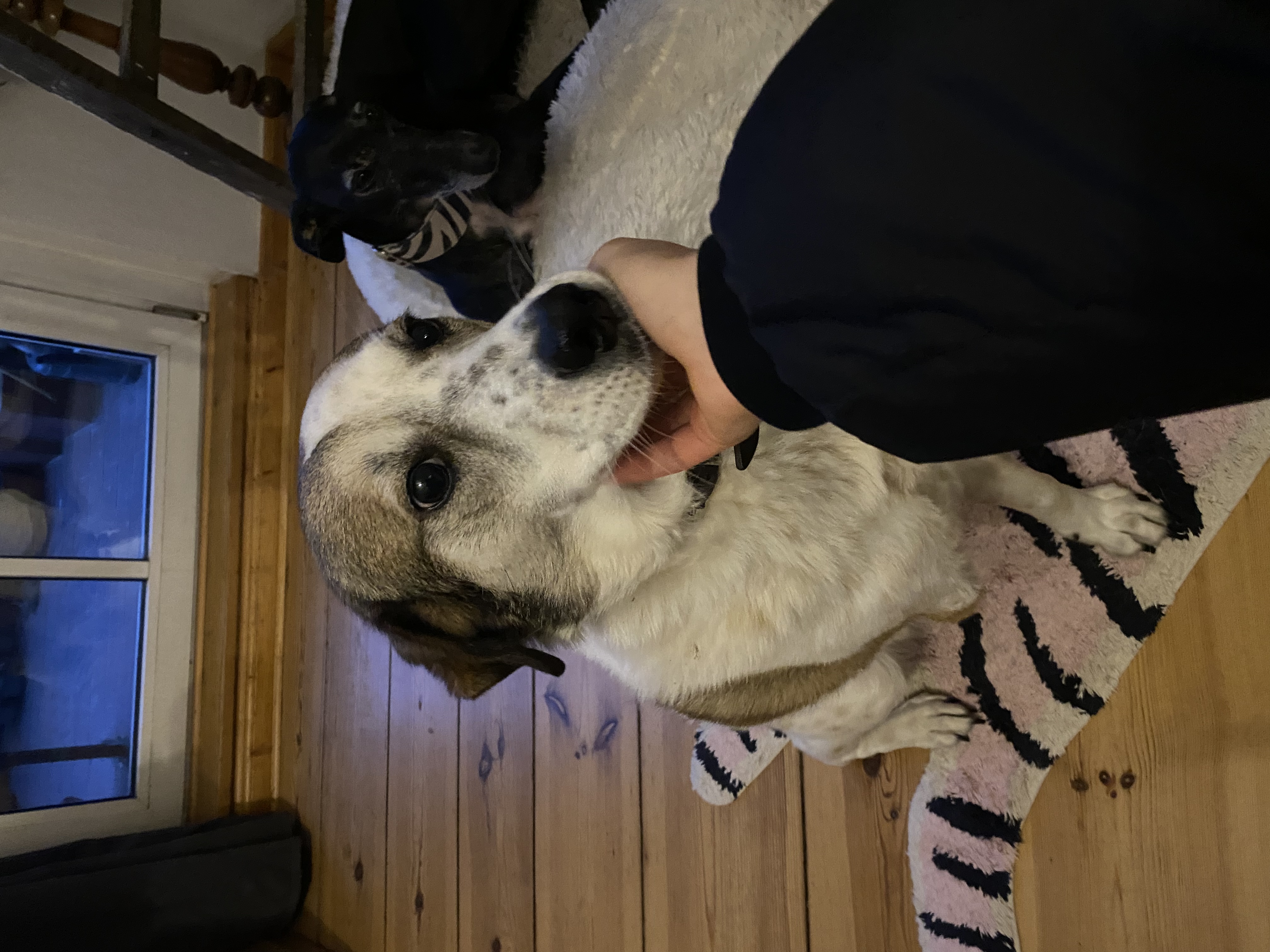 image-9
