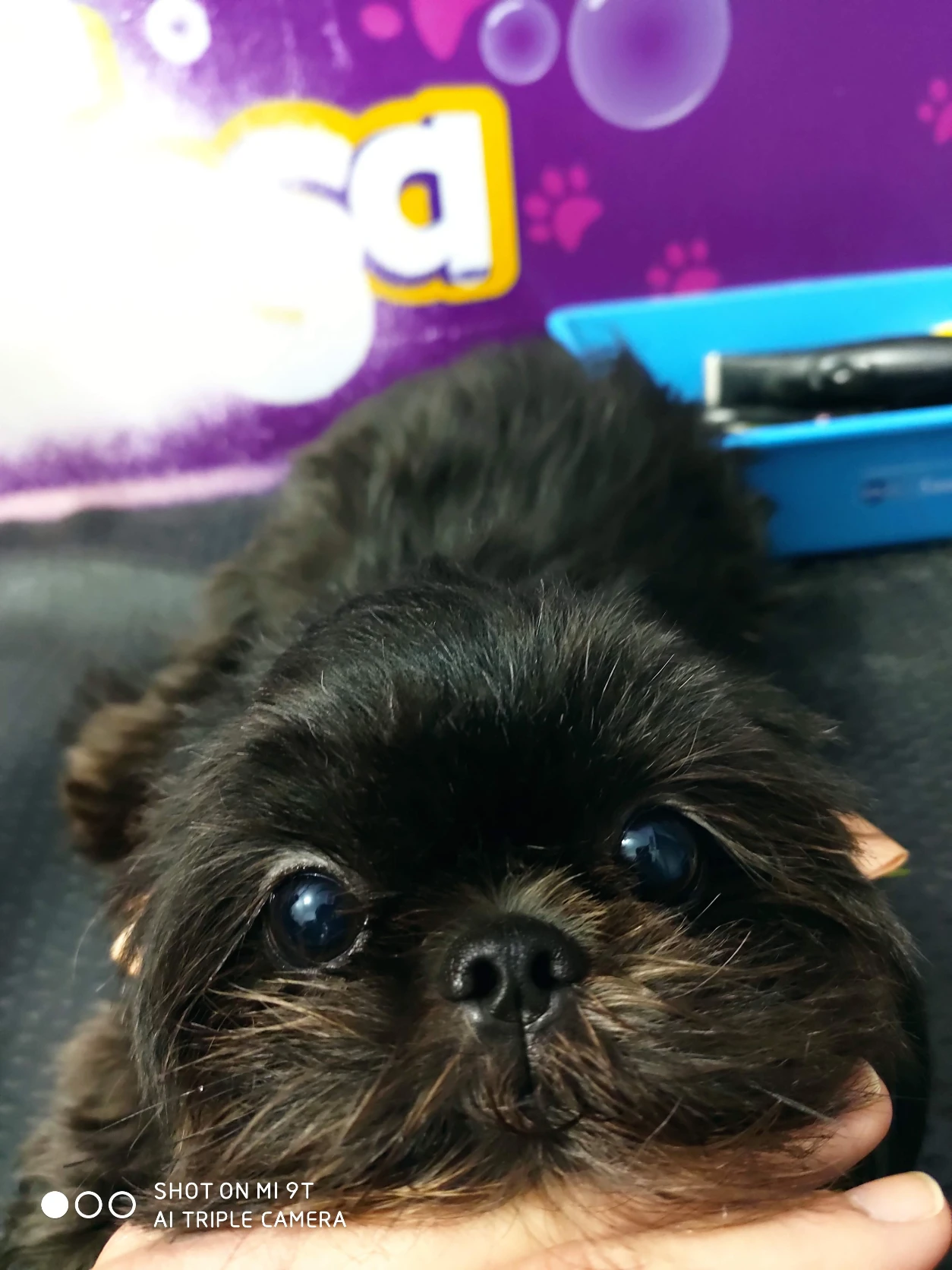 image-22