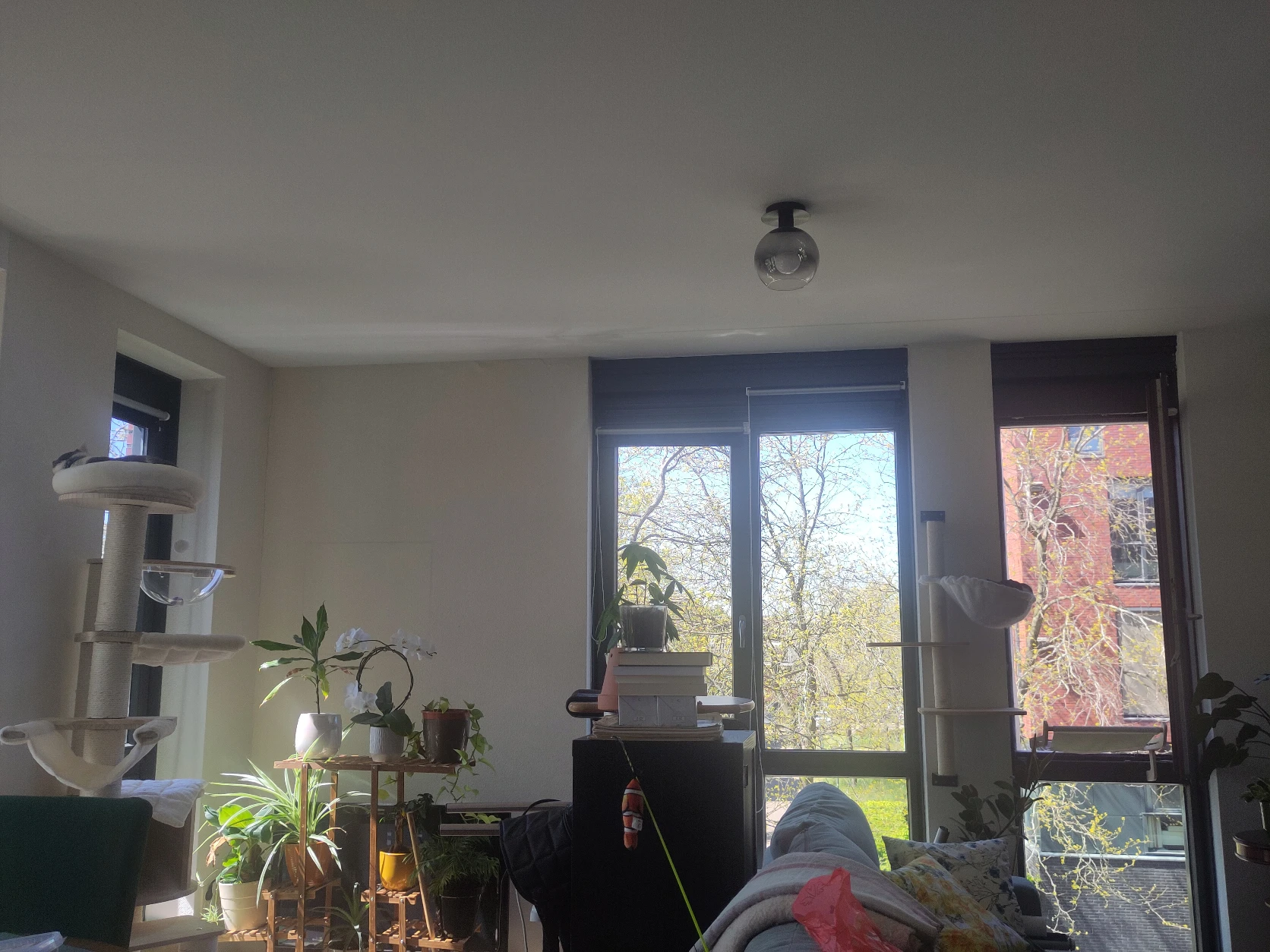 image-18