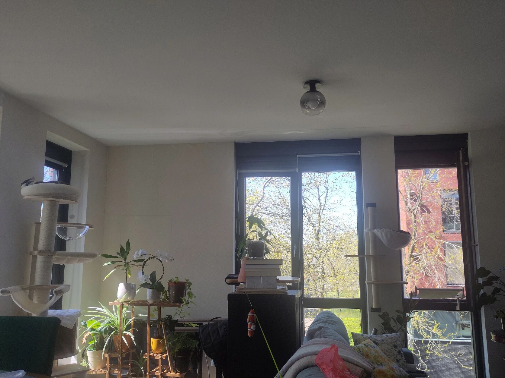 image-18