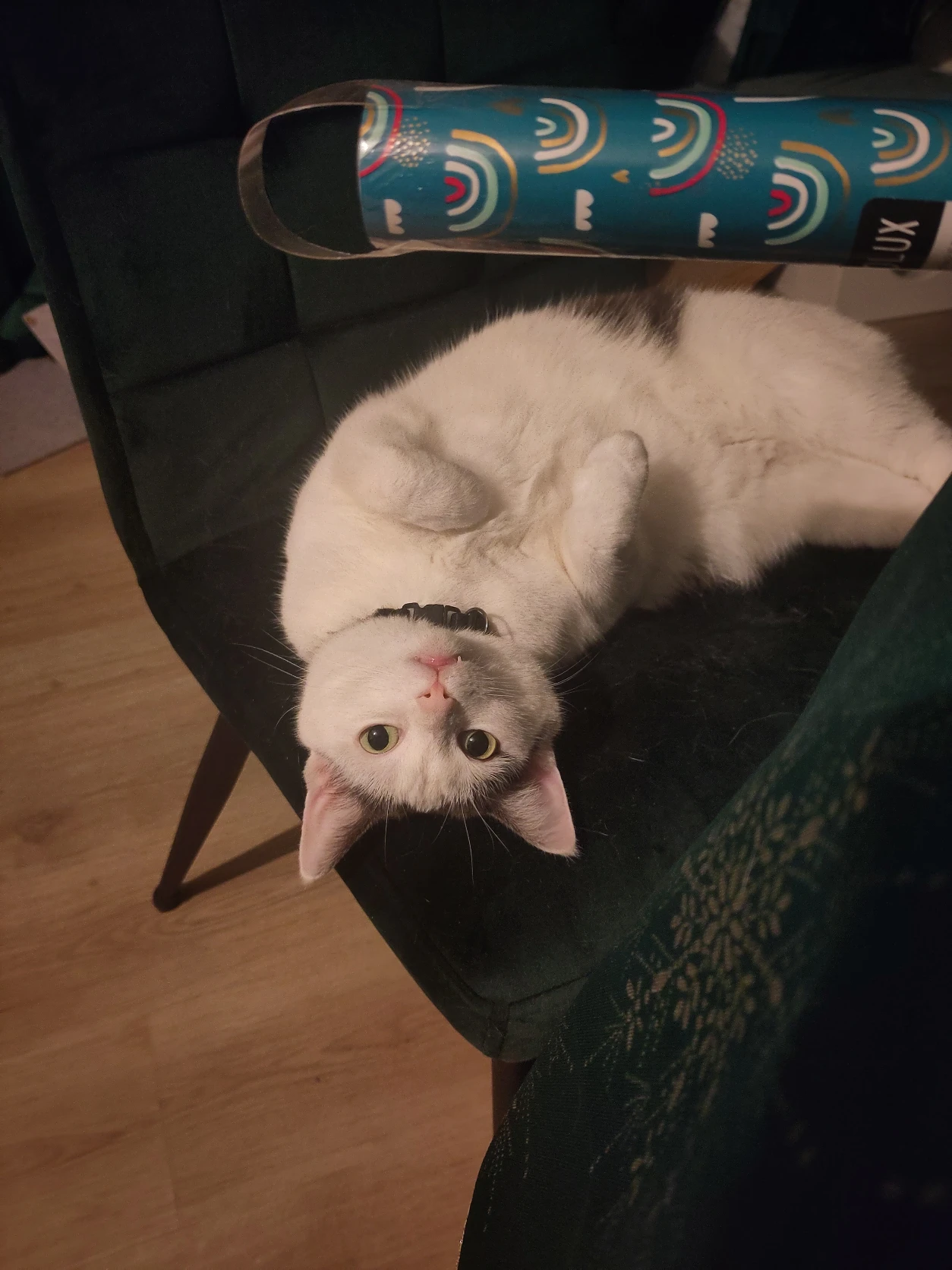 image-0