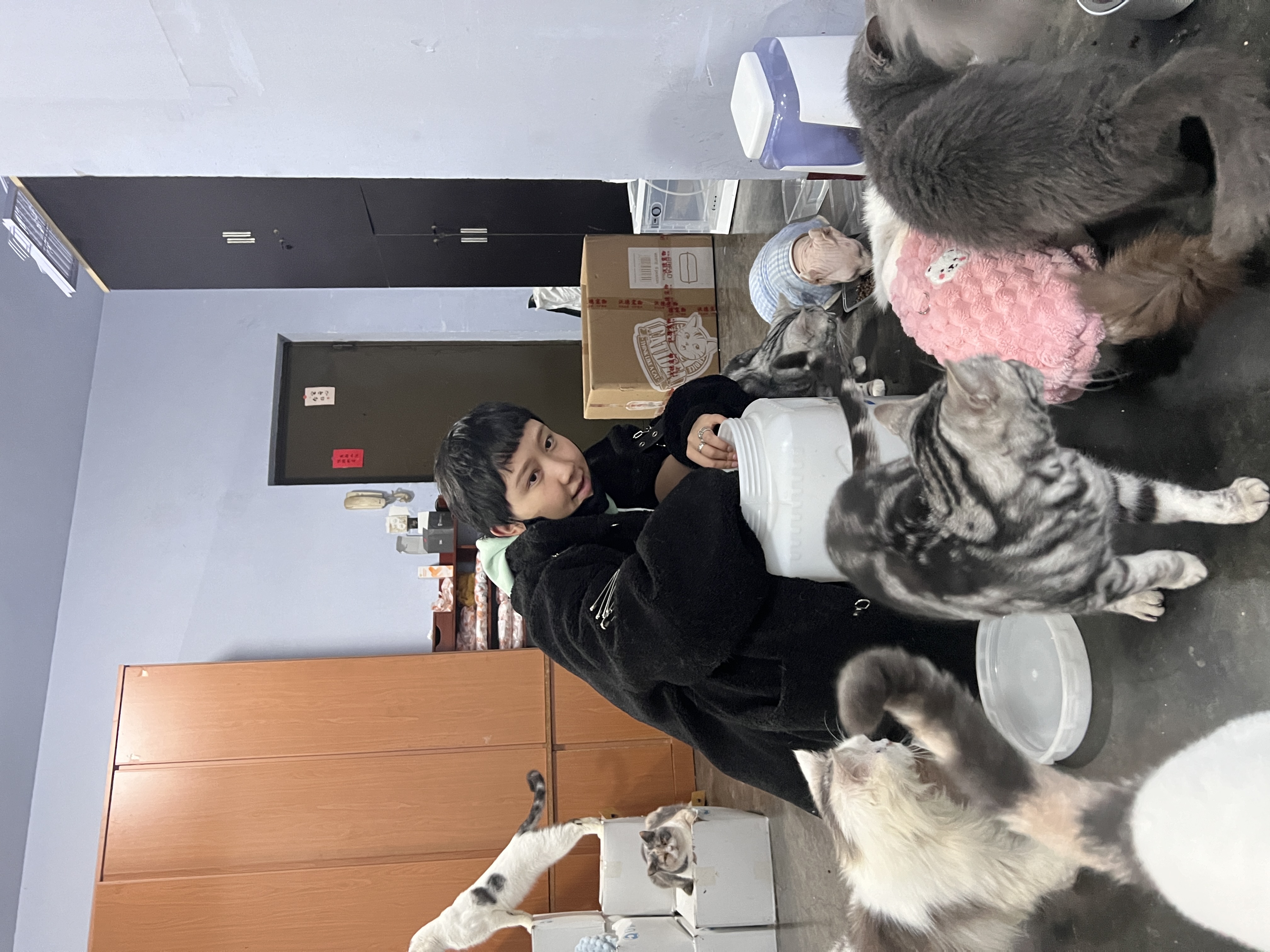 image-7
