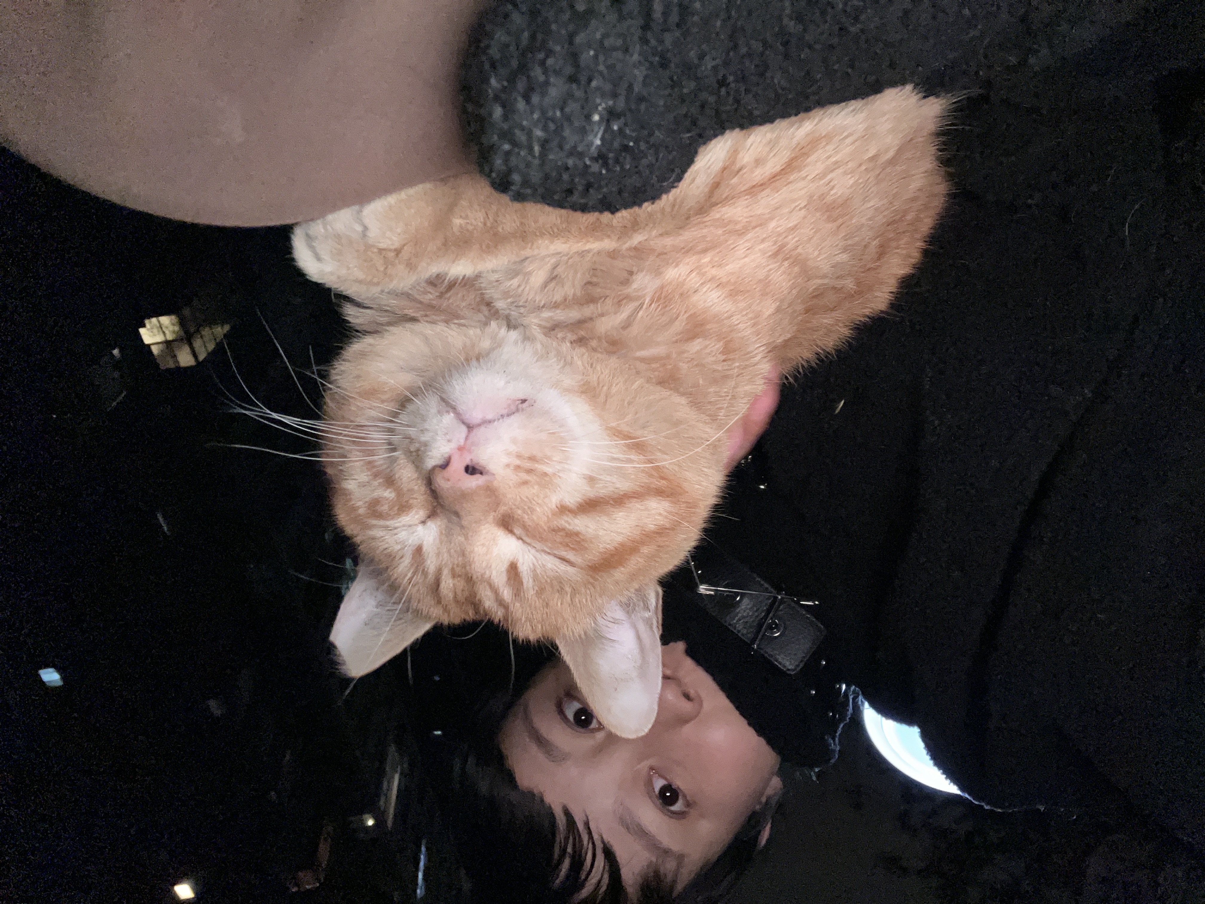 image-6