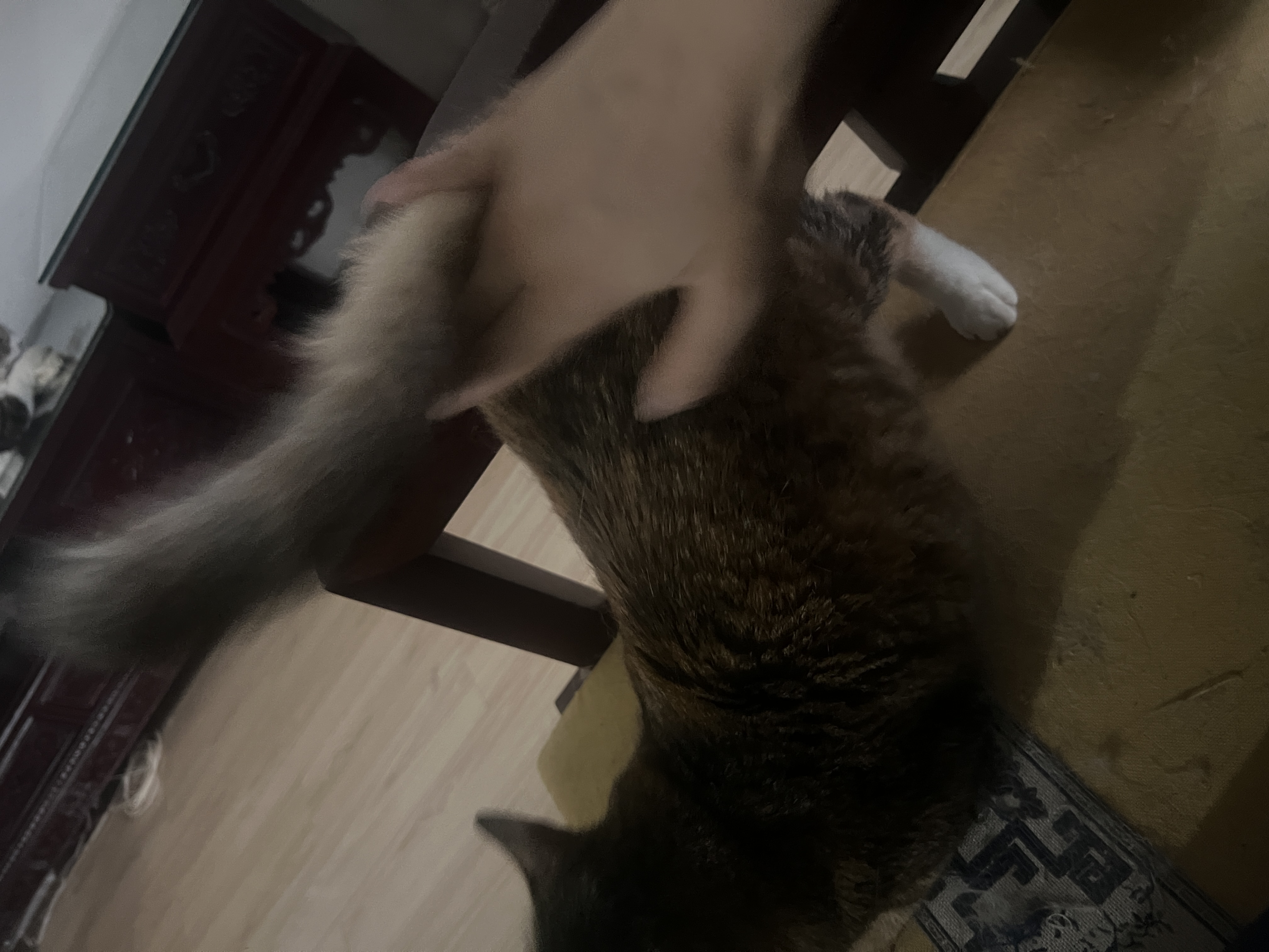 image-14