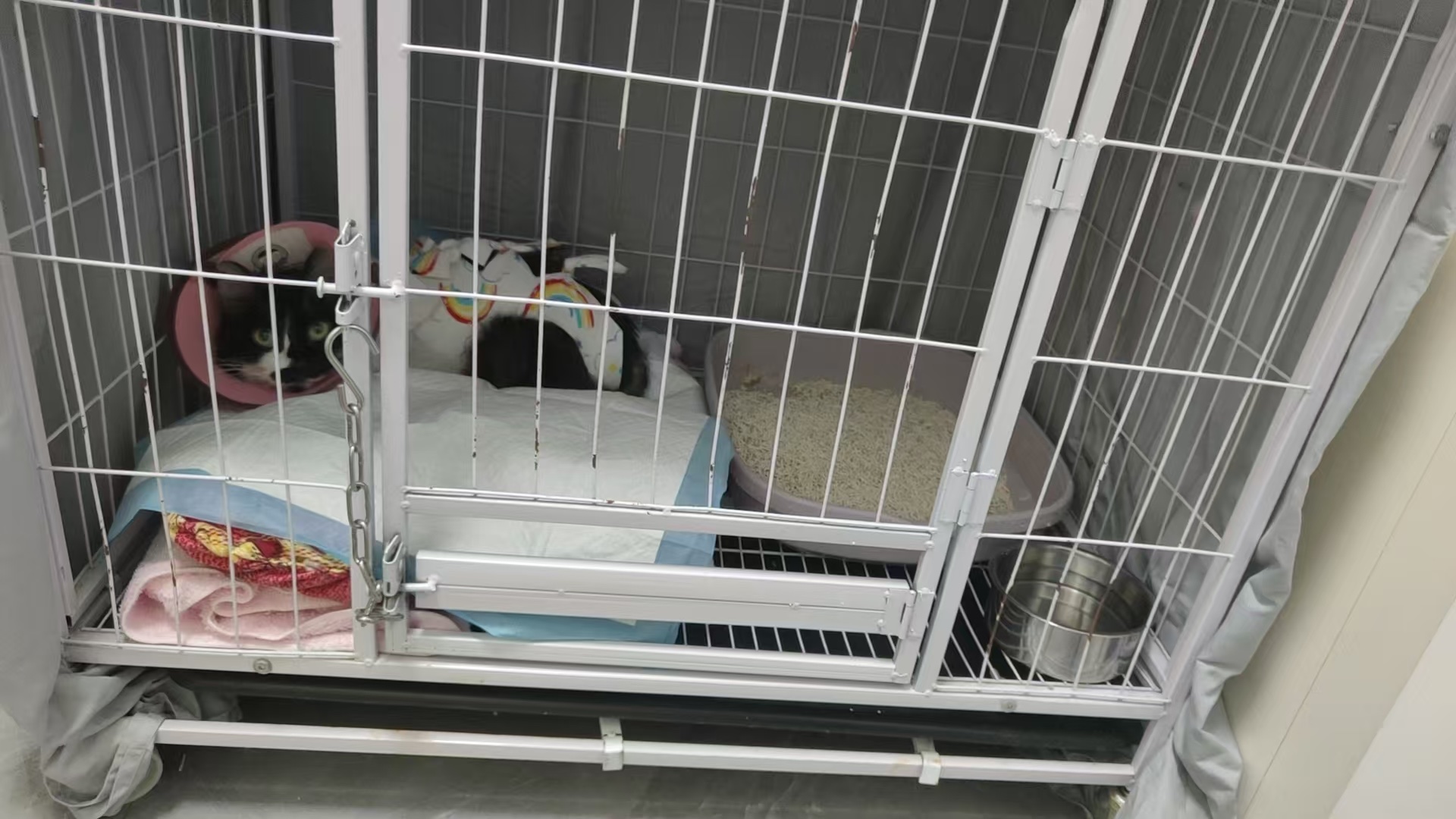 image-10