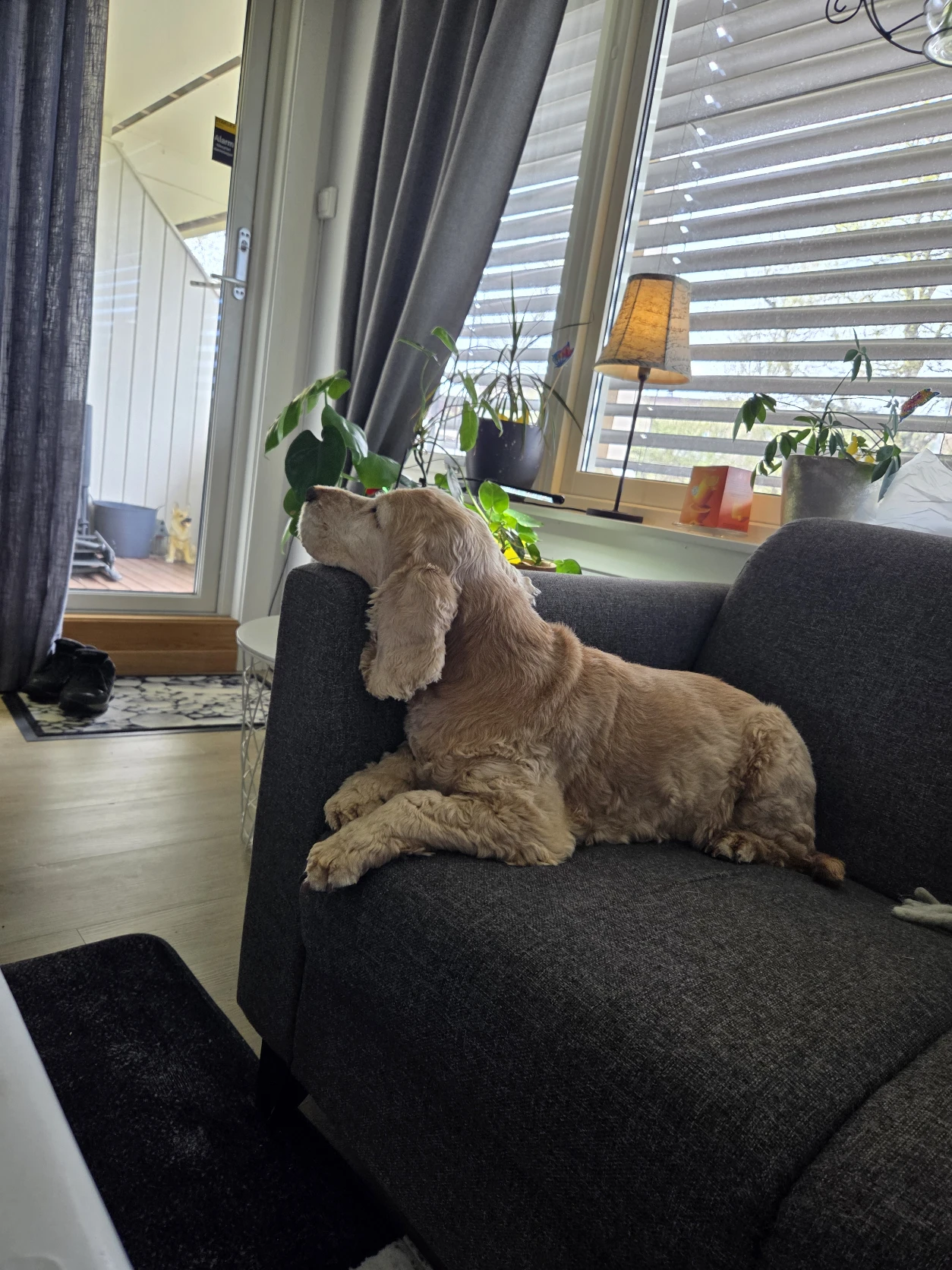 image-13