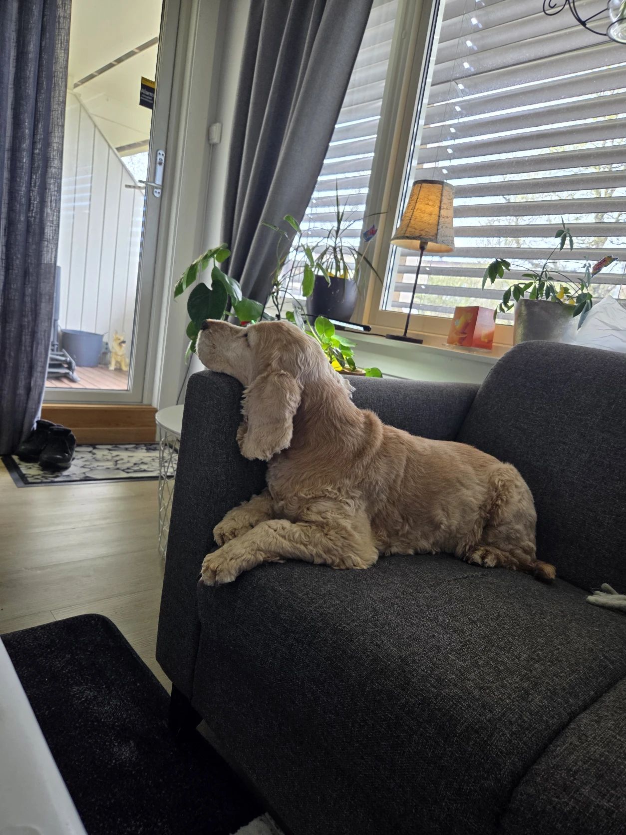 image-13