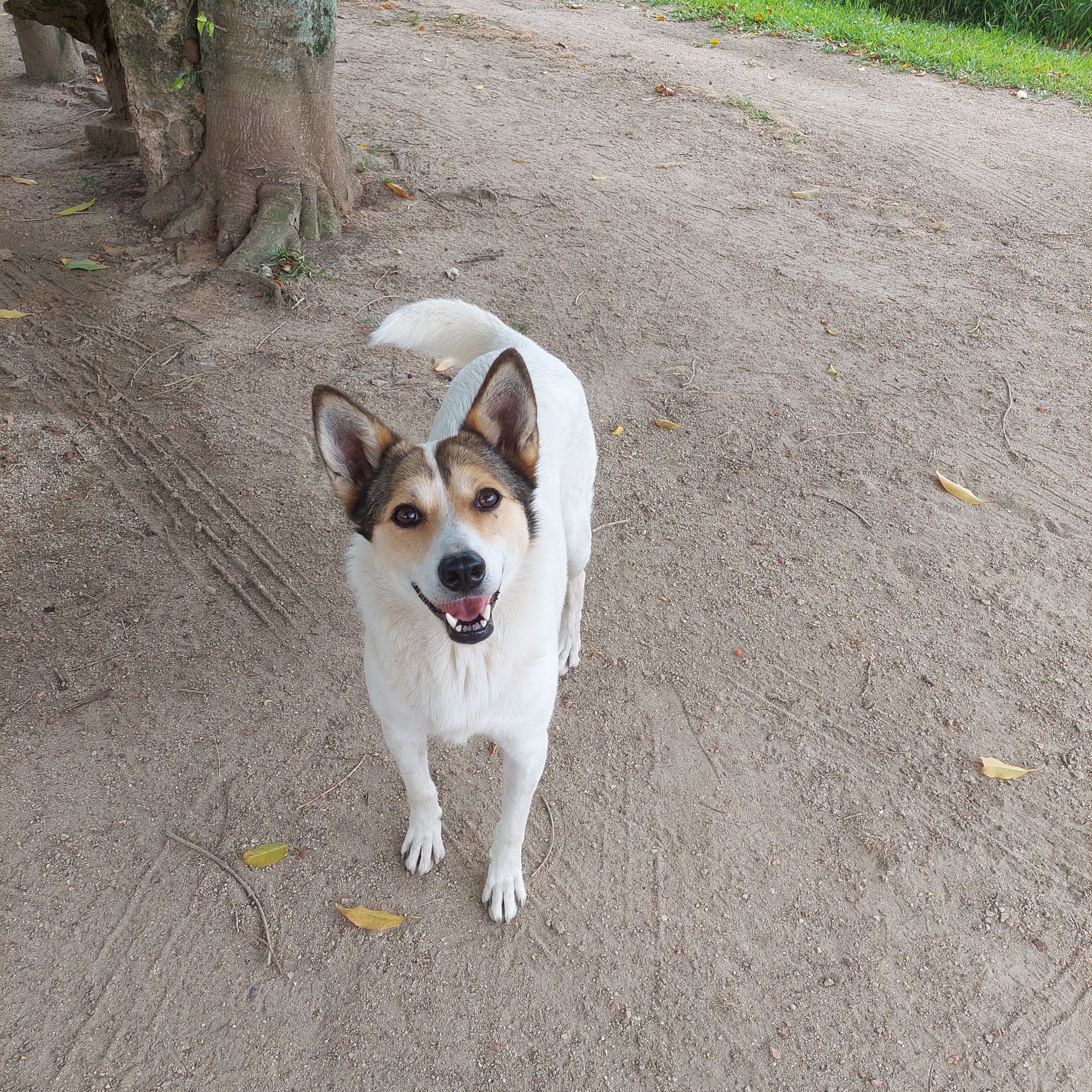 image-5