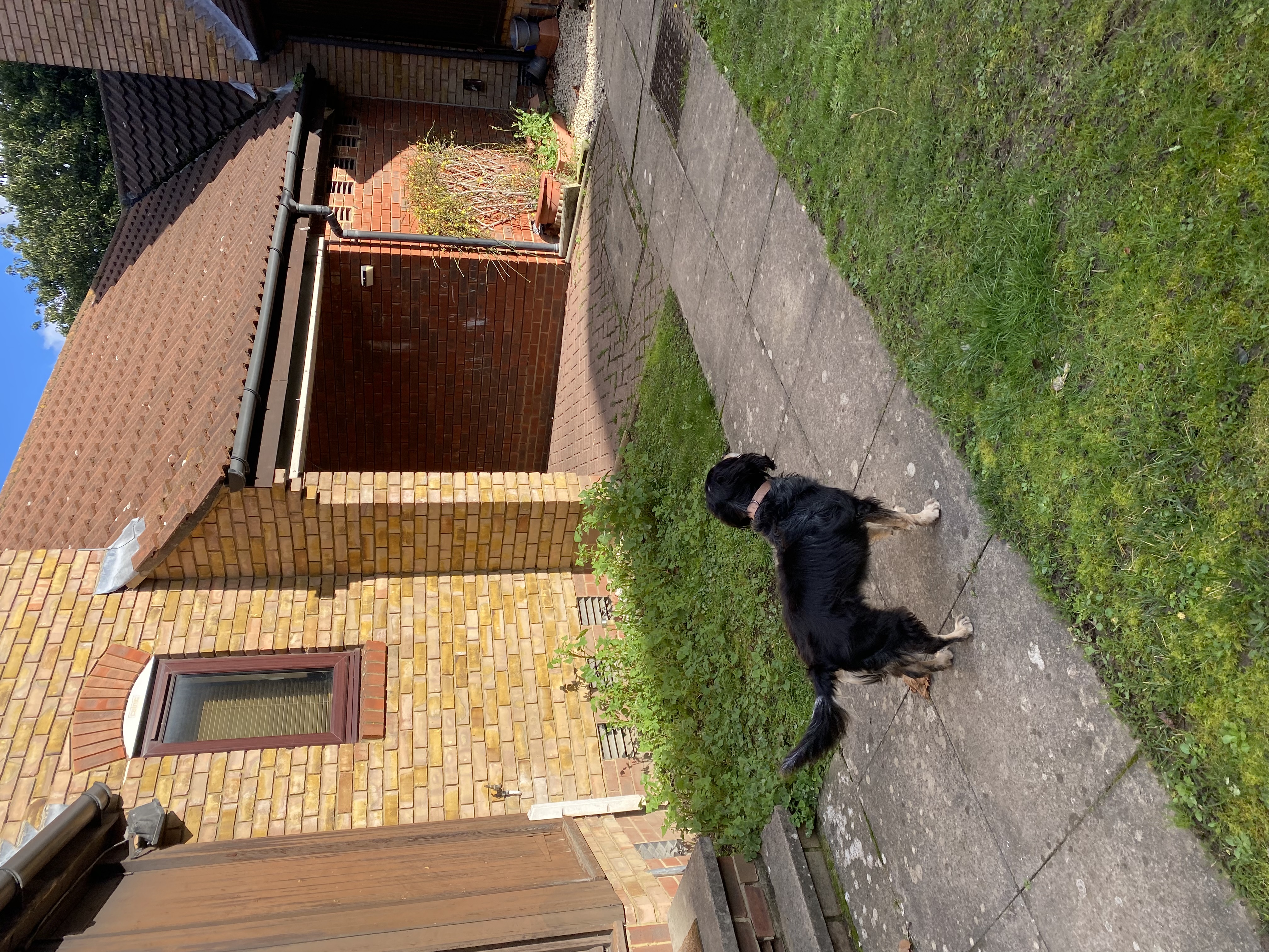 image-11