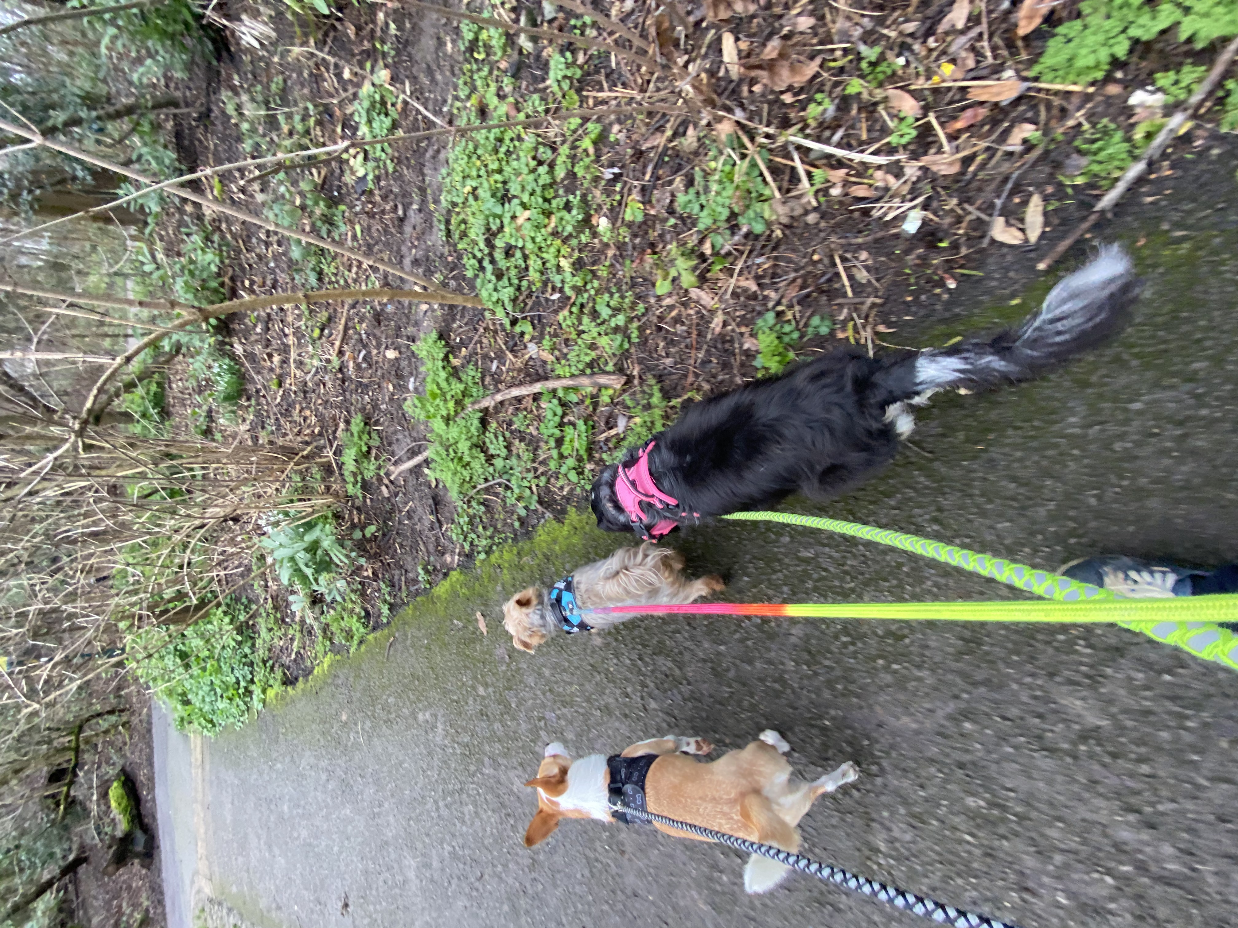 image-7
