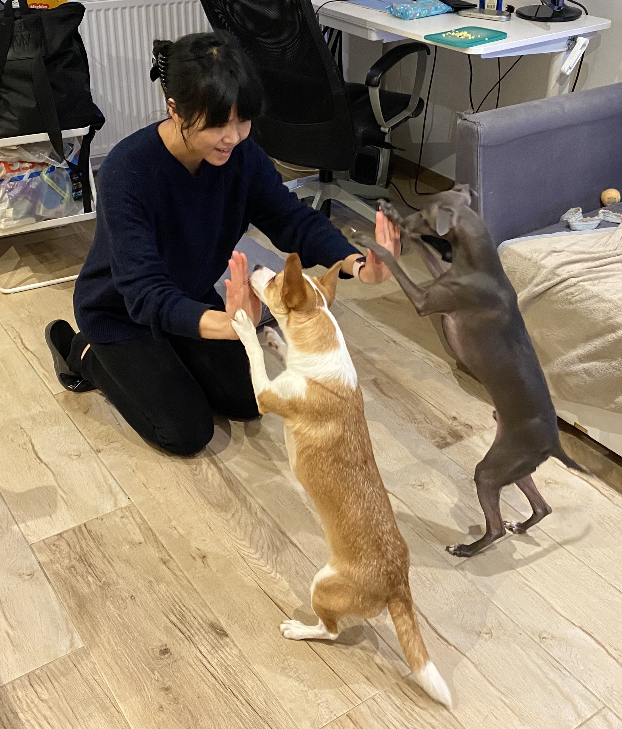 image-8