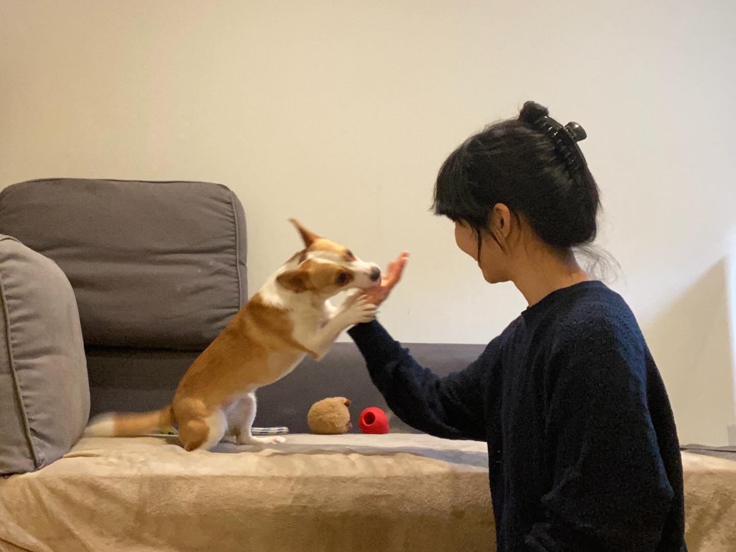 image-3
