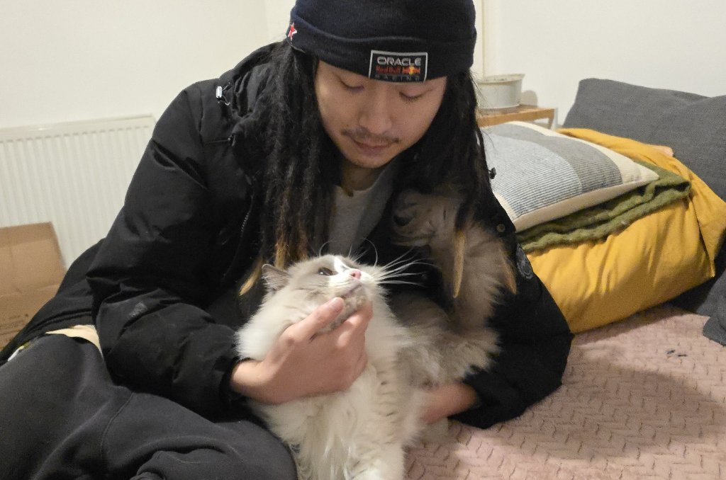 image-8