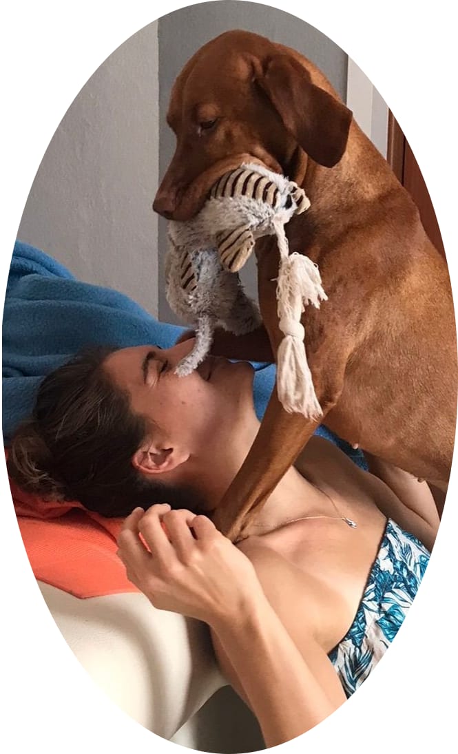 image-6