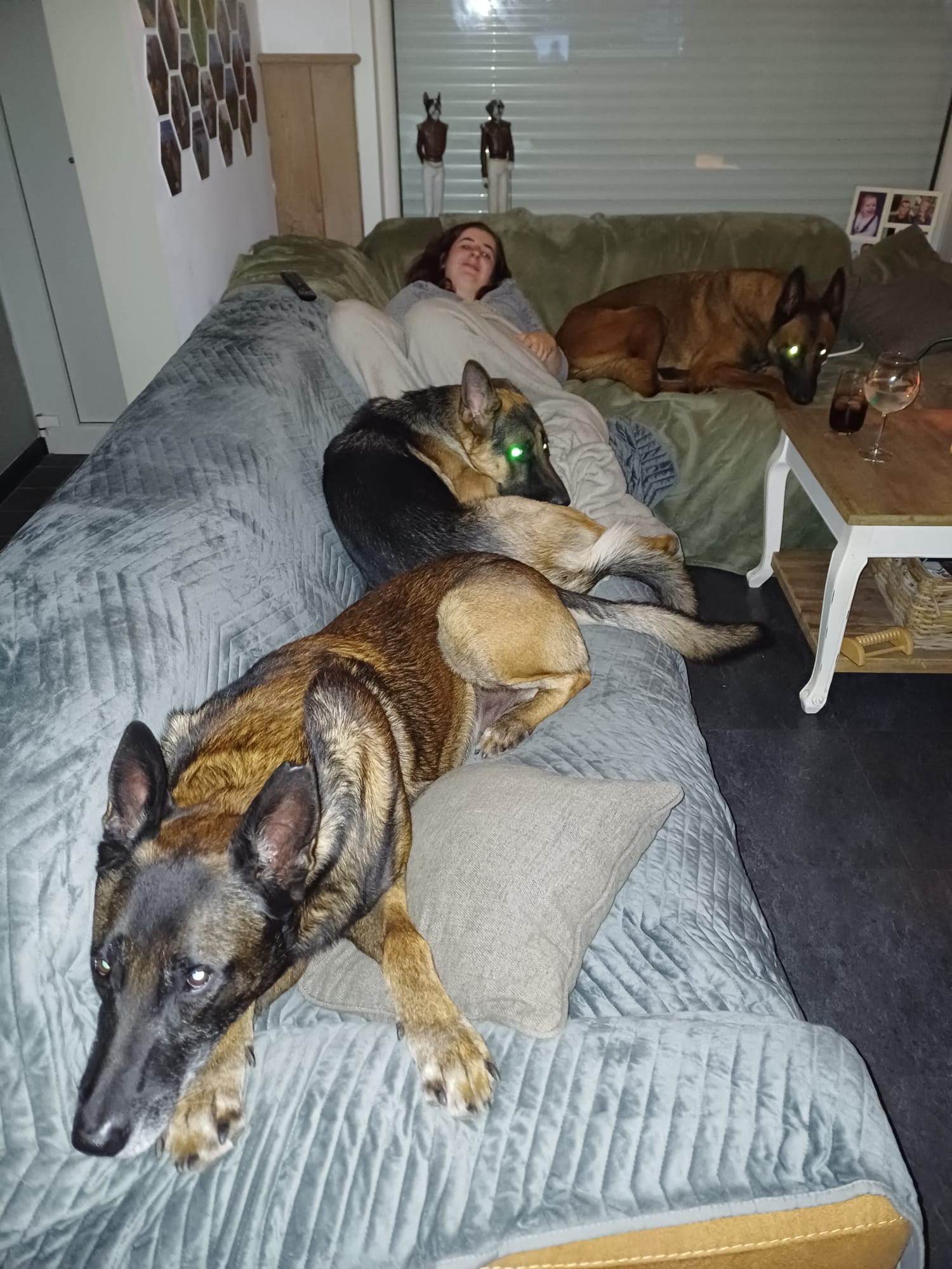 image-7