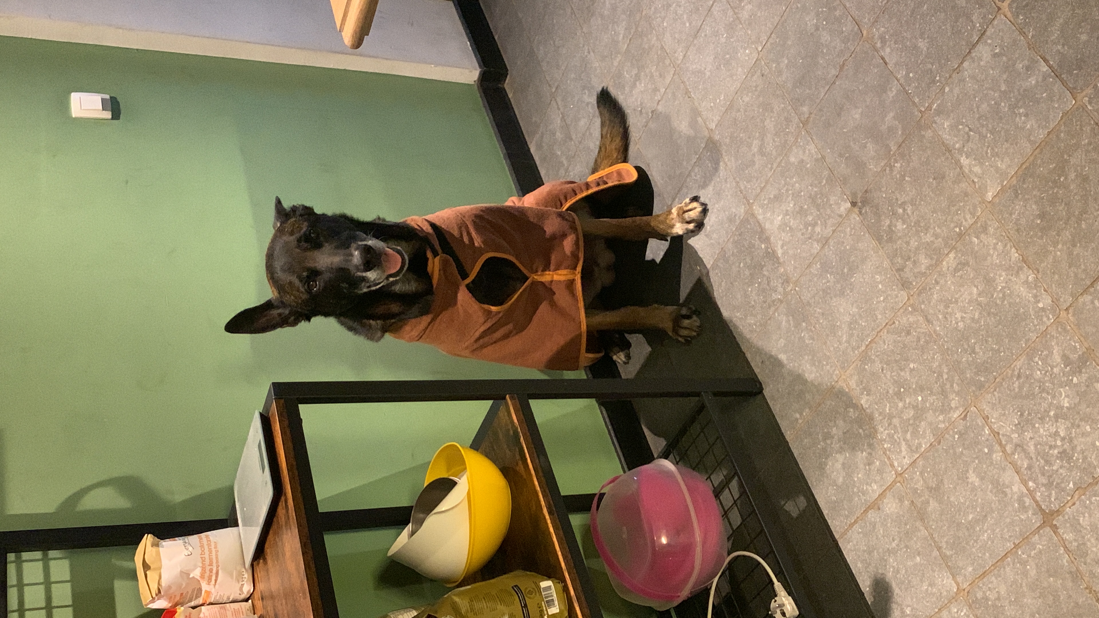 image-6