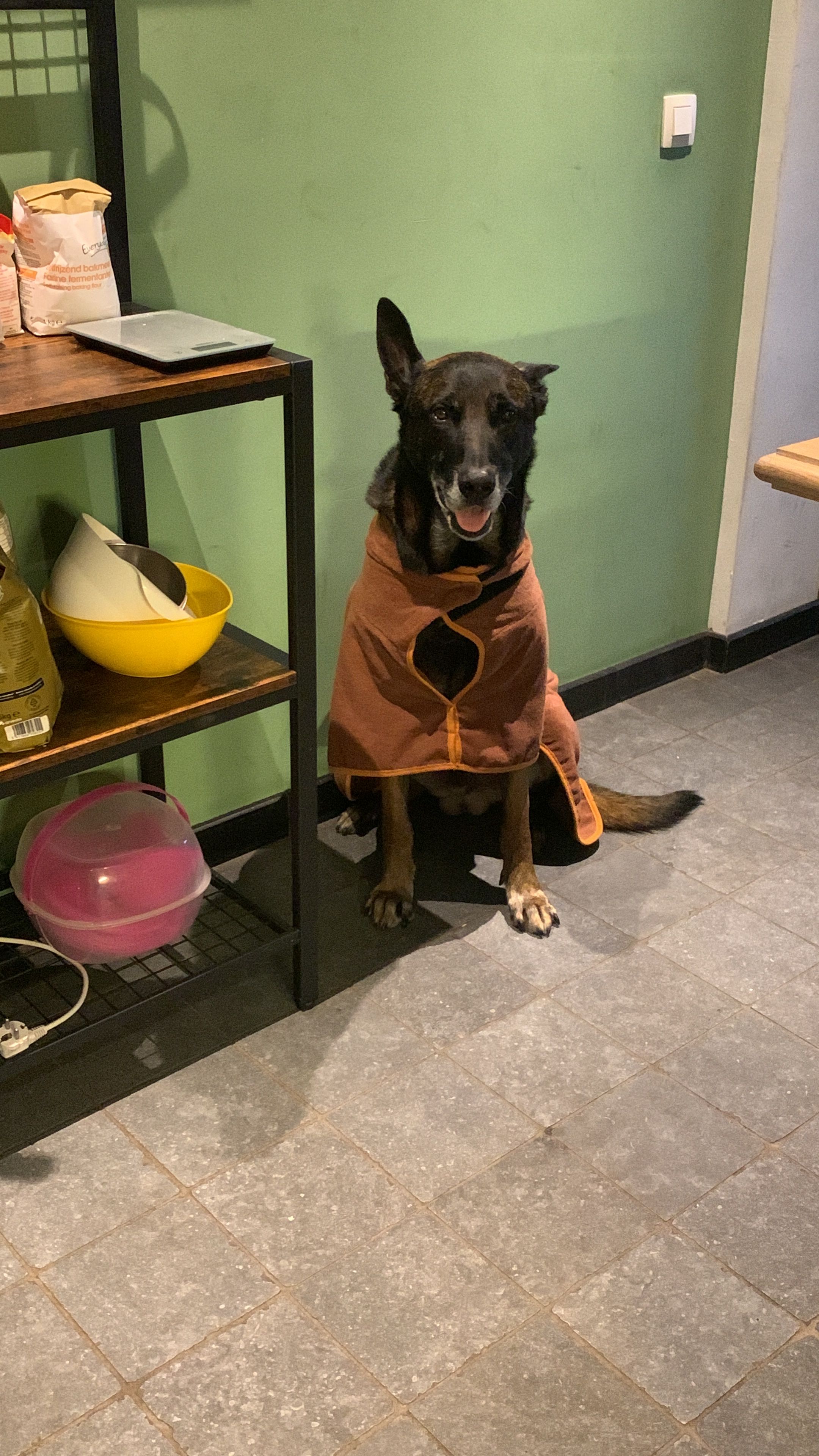 image-6