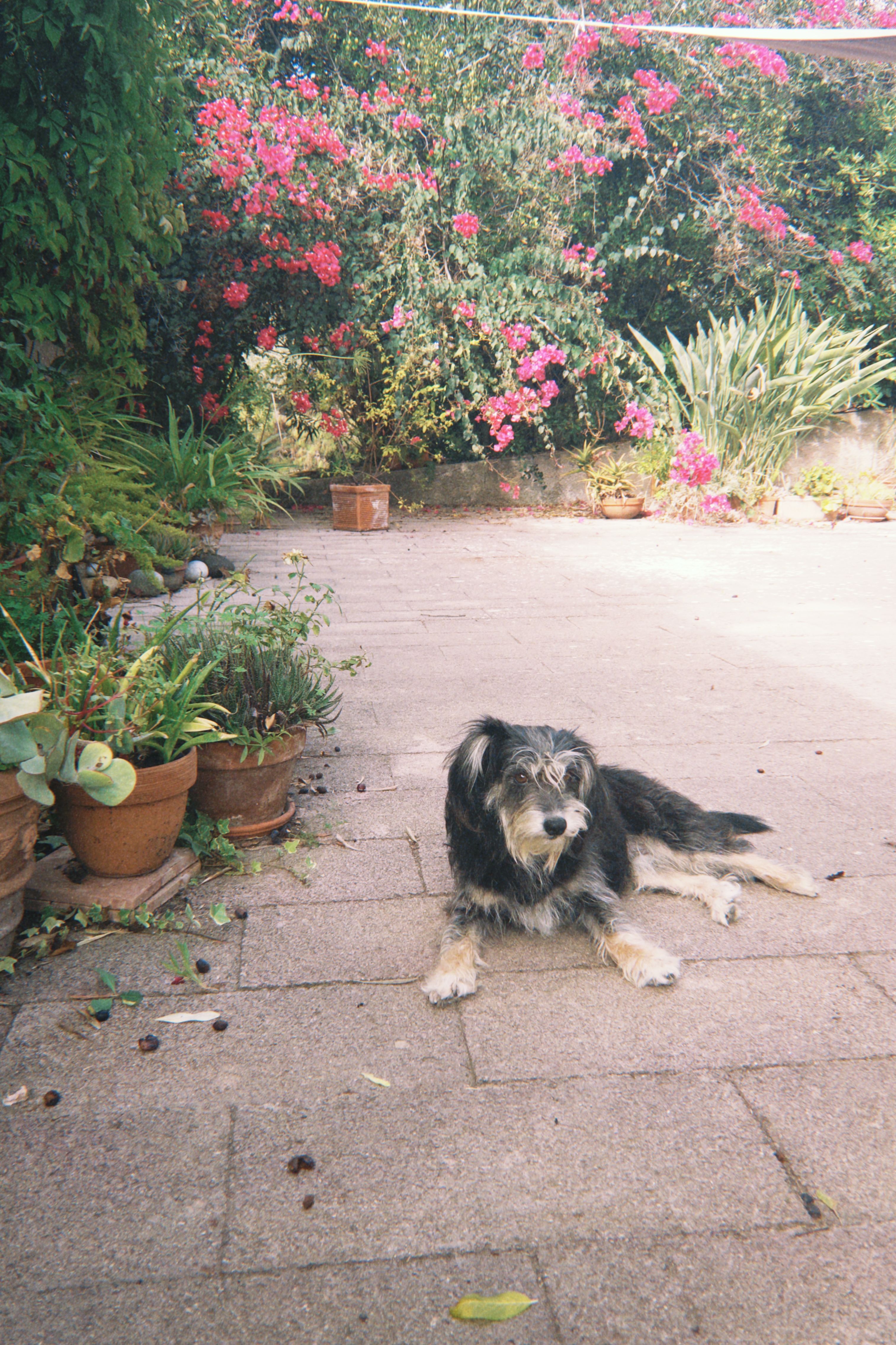 image-11