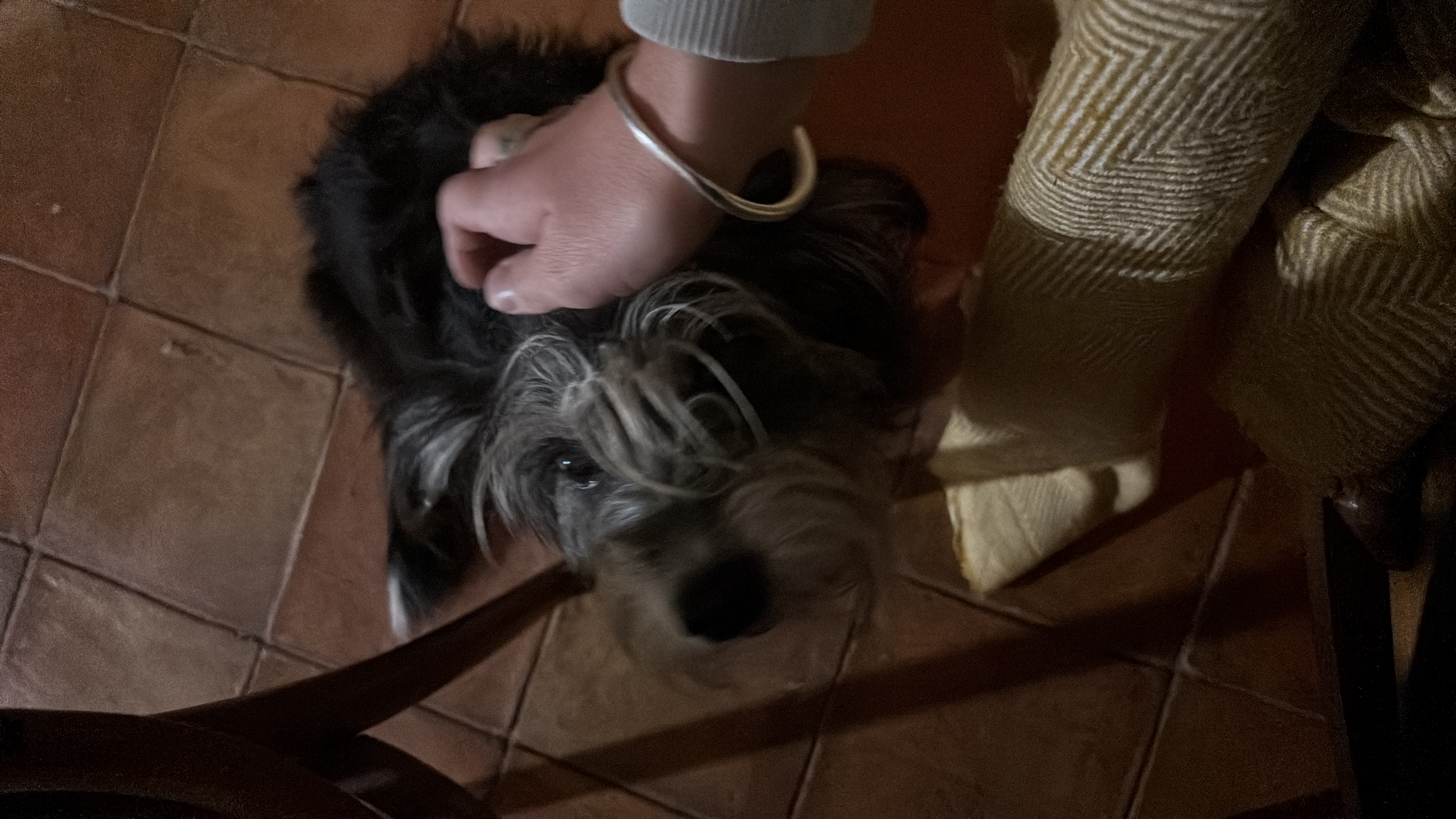 image-8