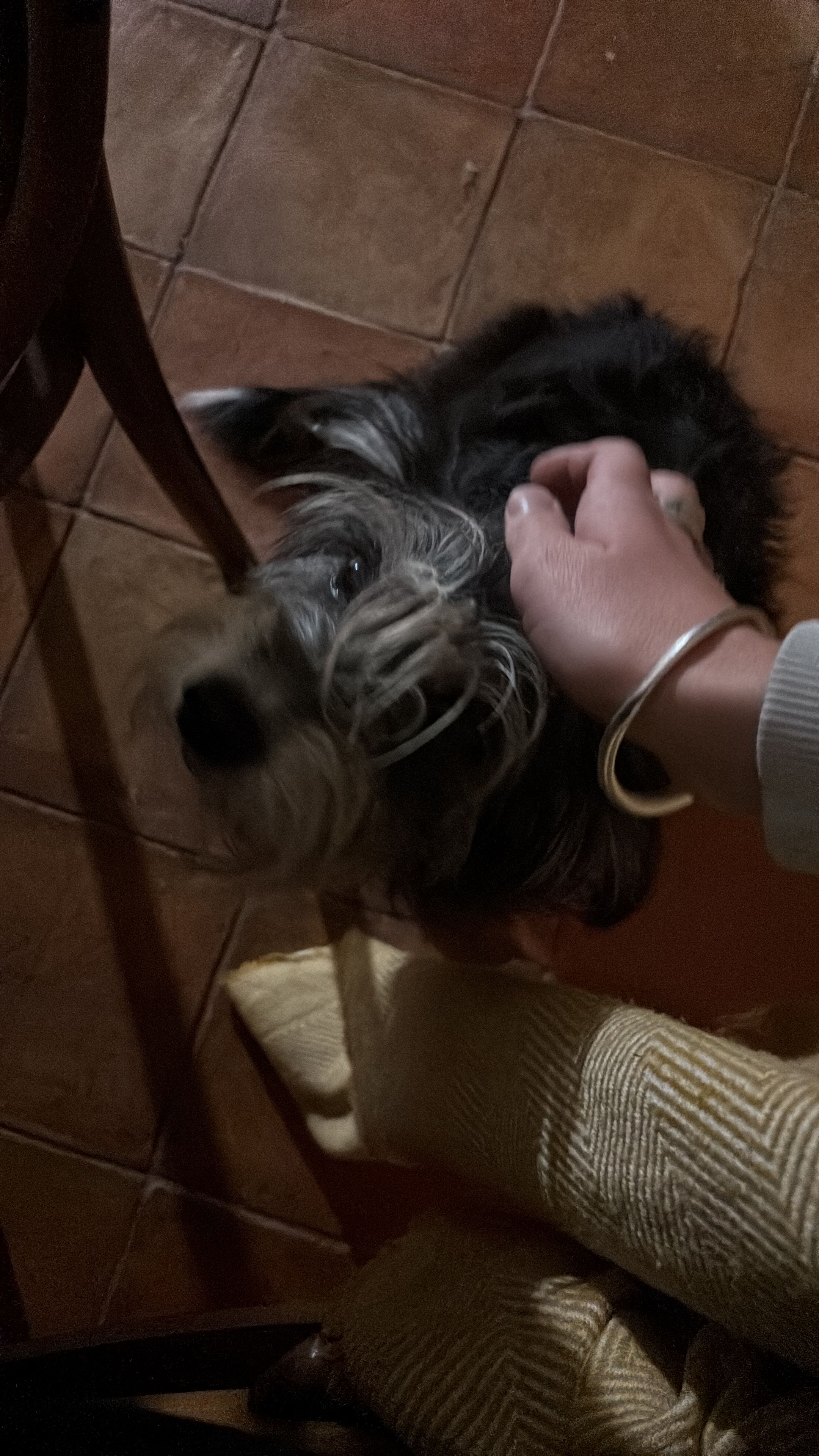 image-8