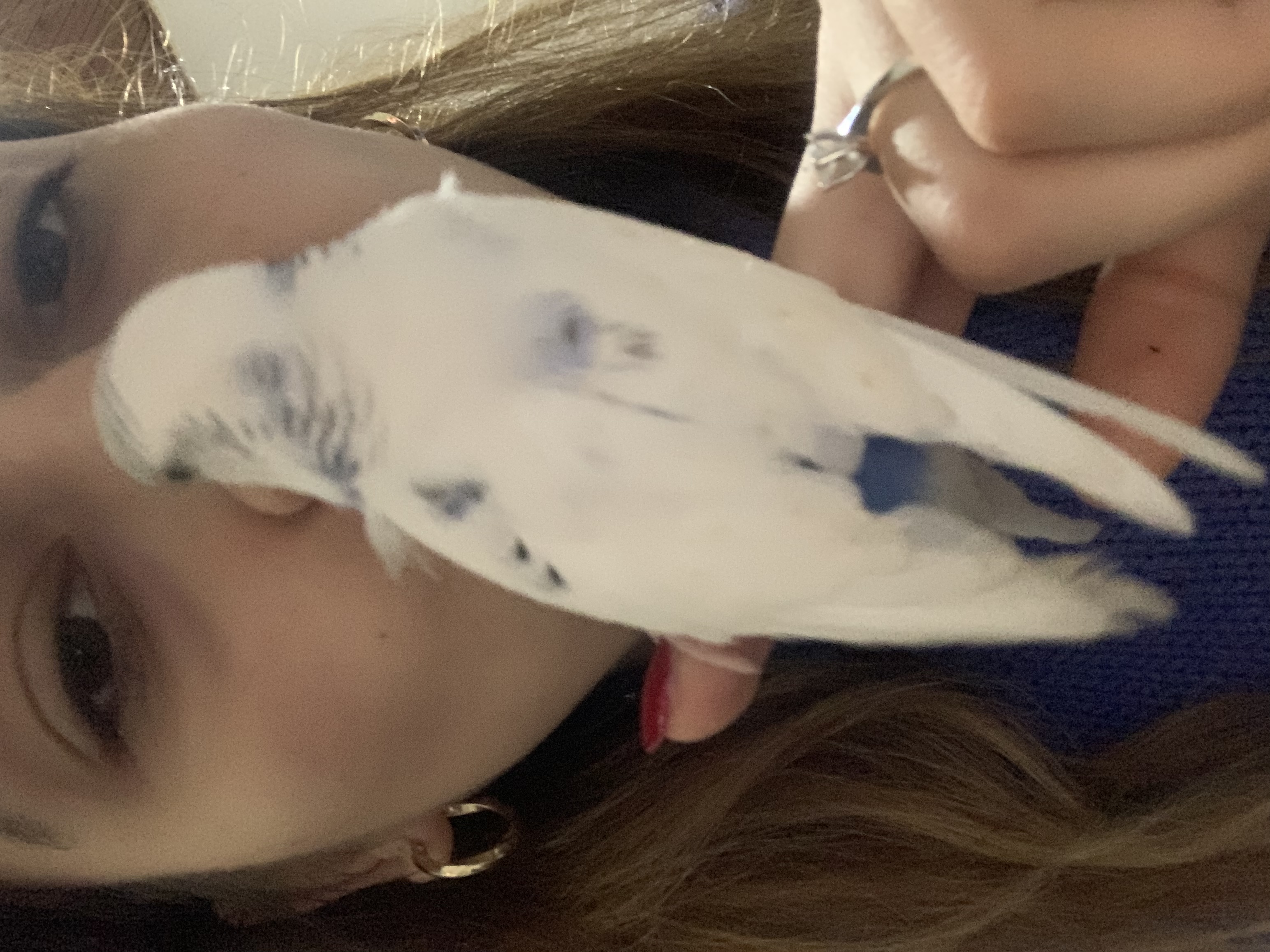 image-7