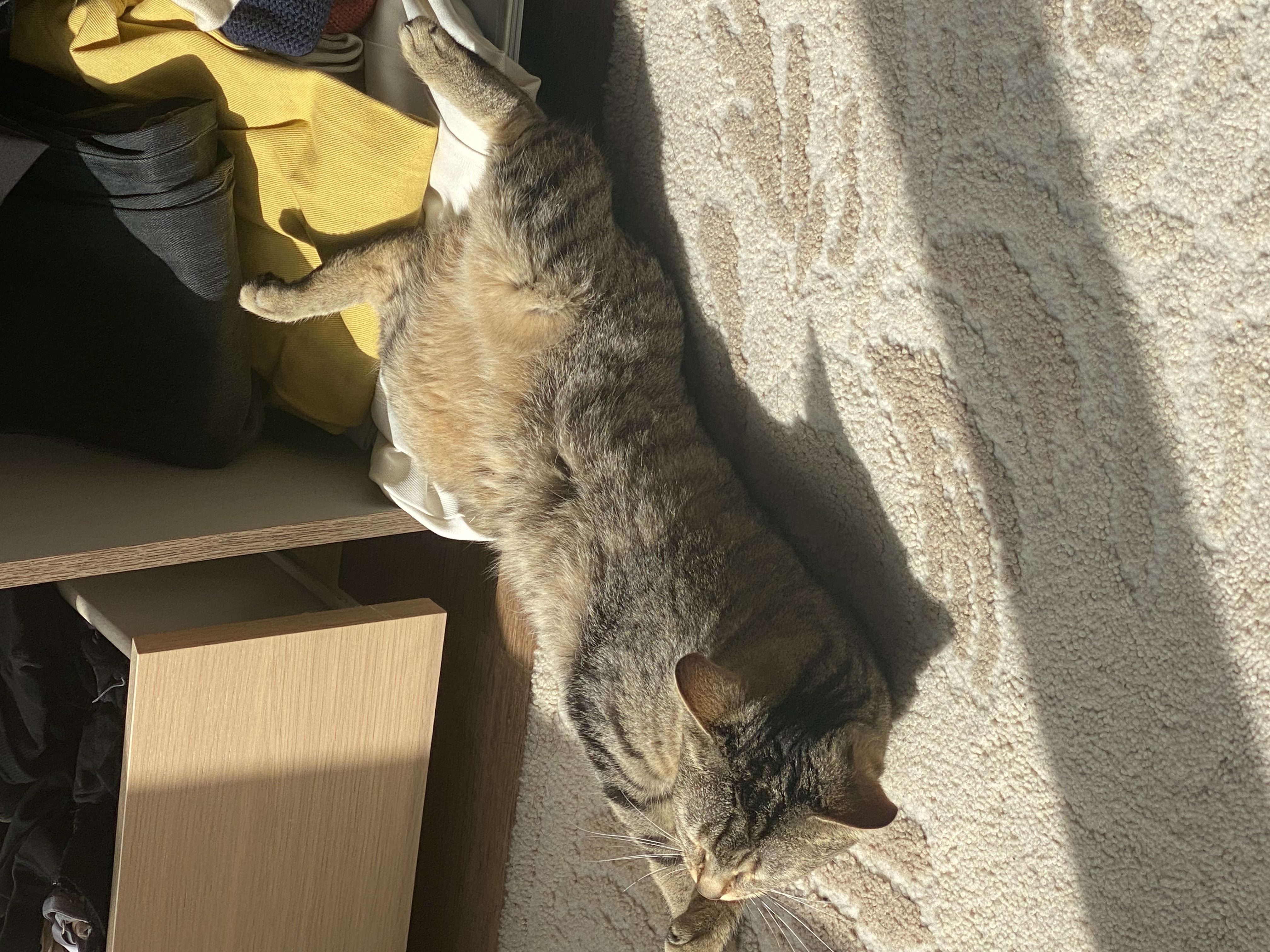image-8