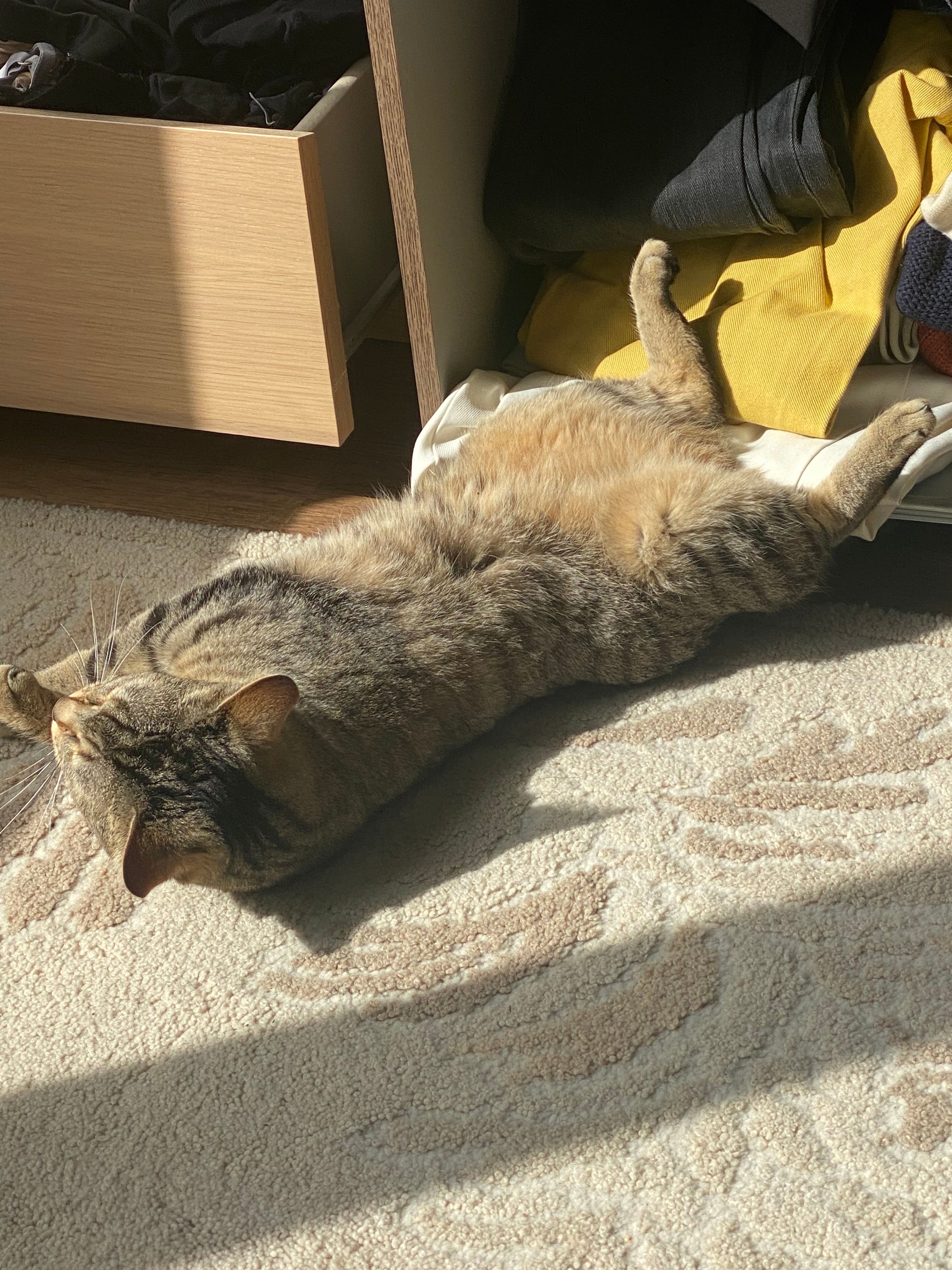 image-8