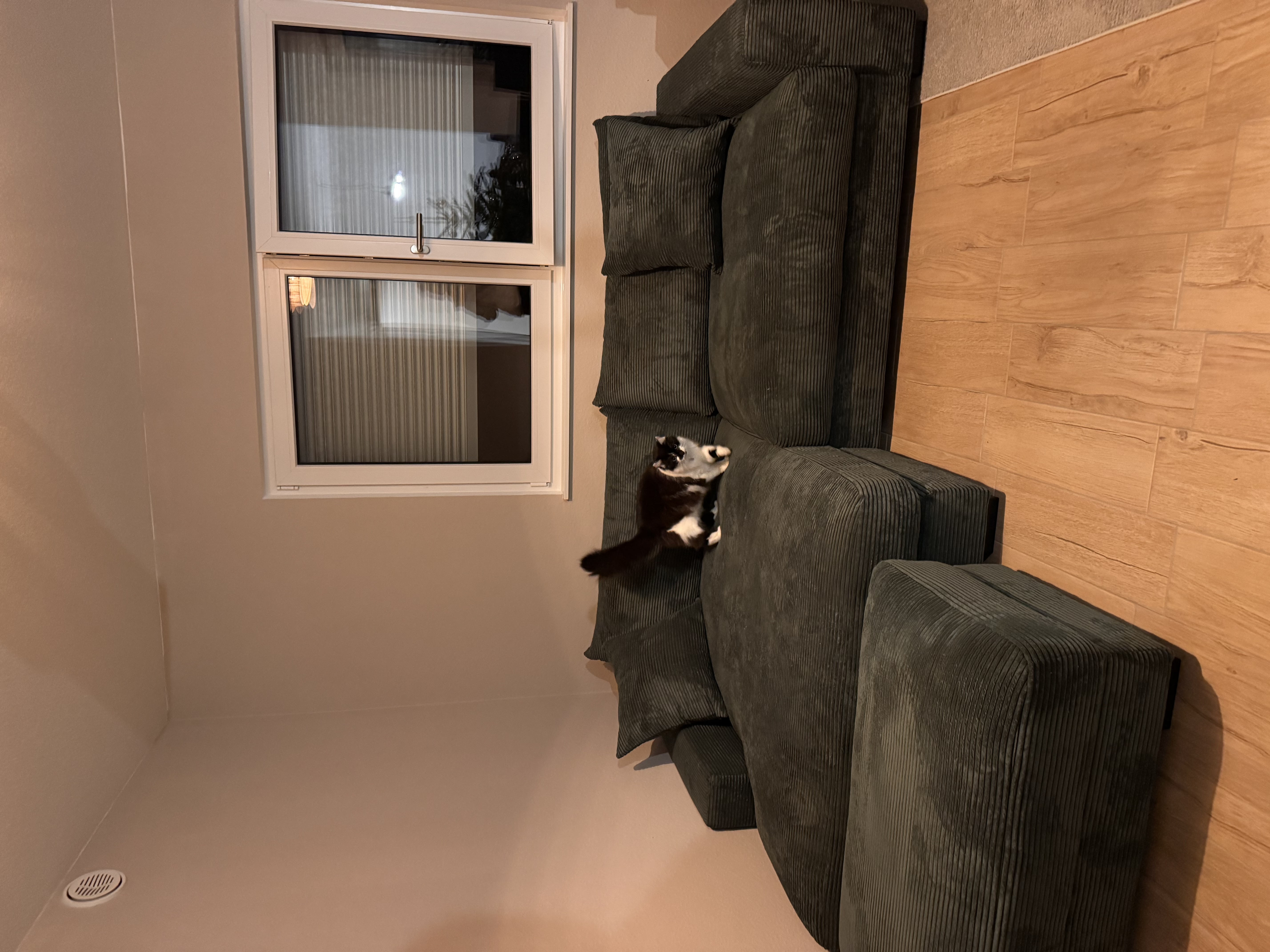 image-7