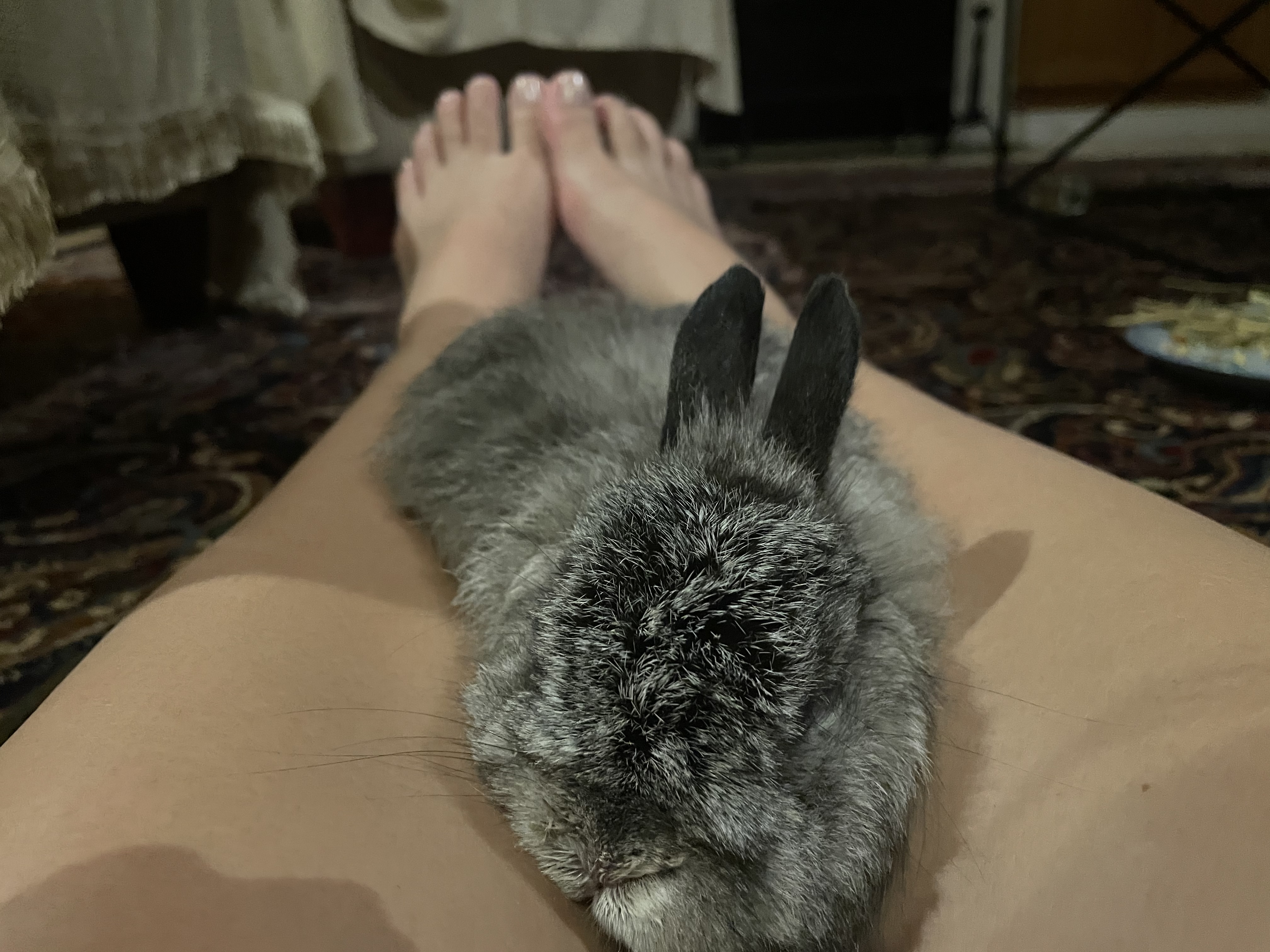 image-5