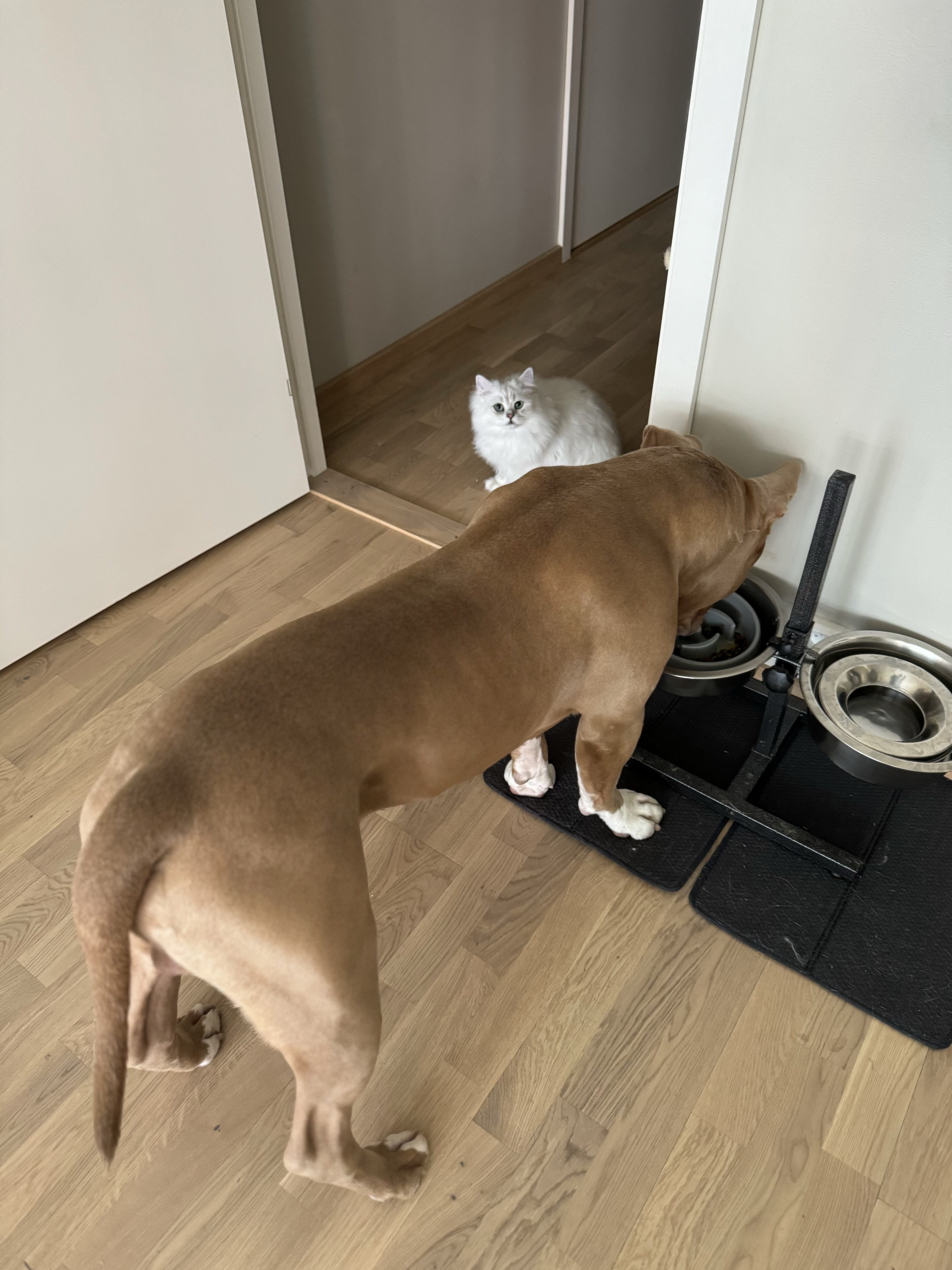 image-14