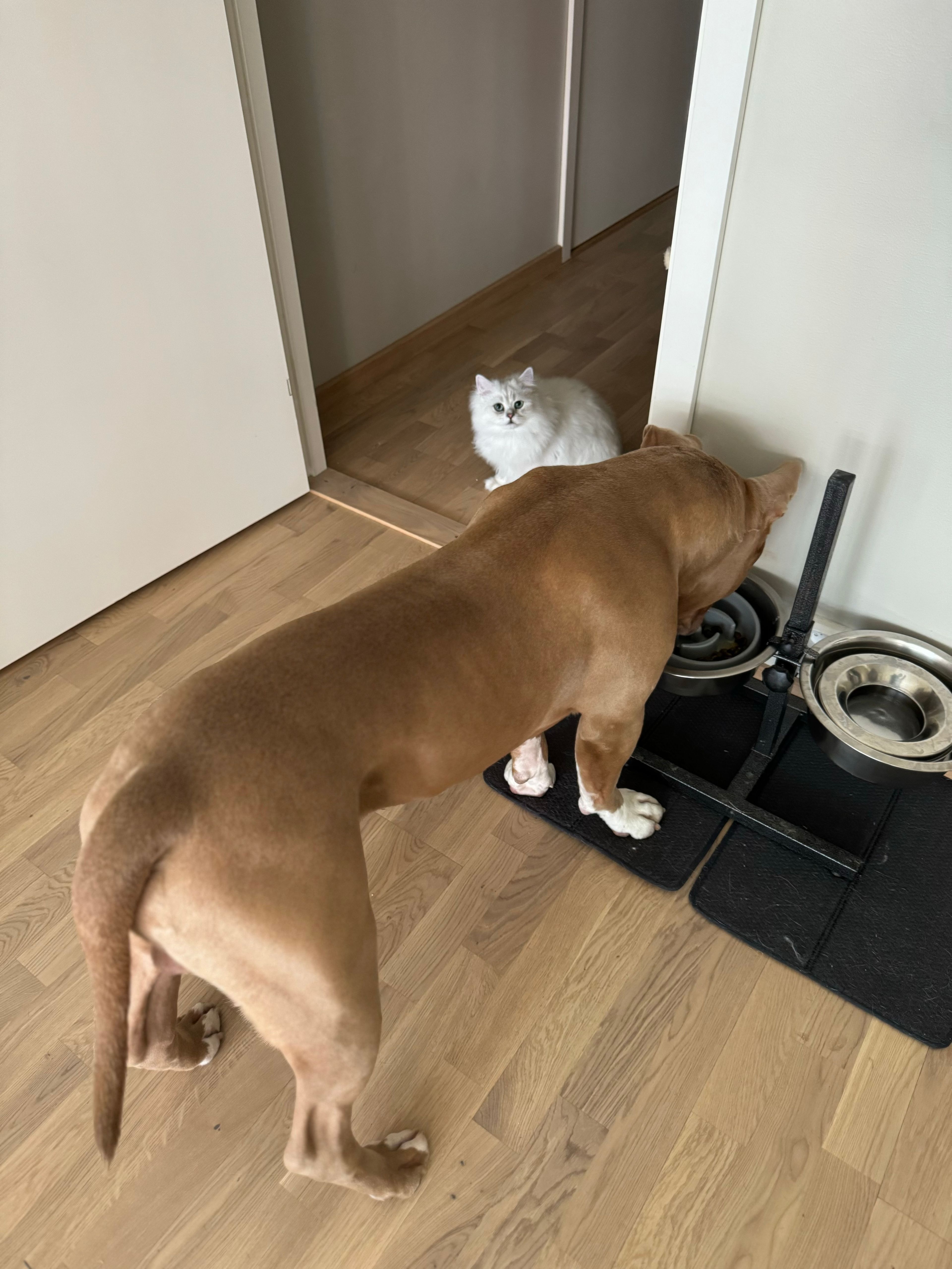 image-14