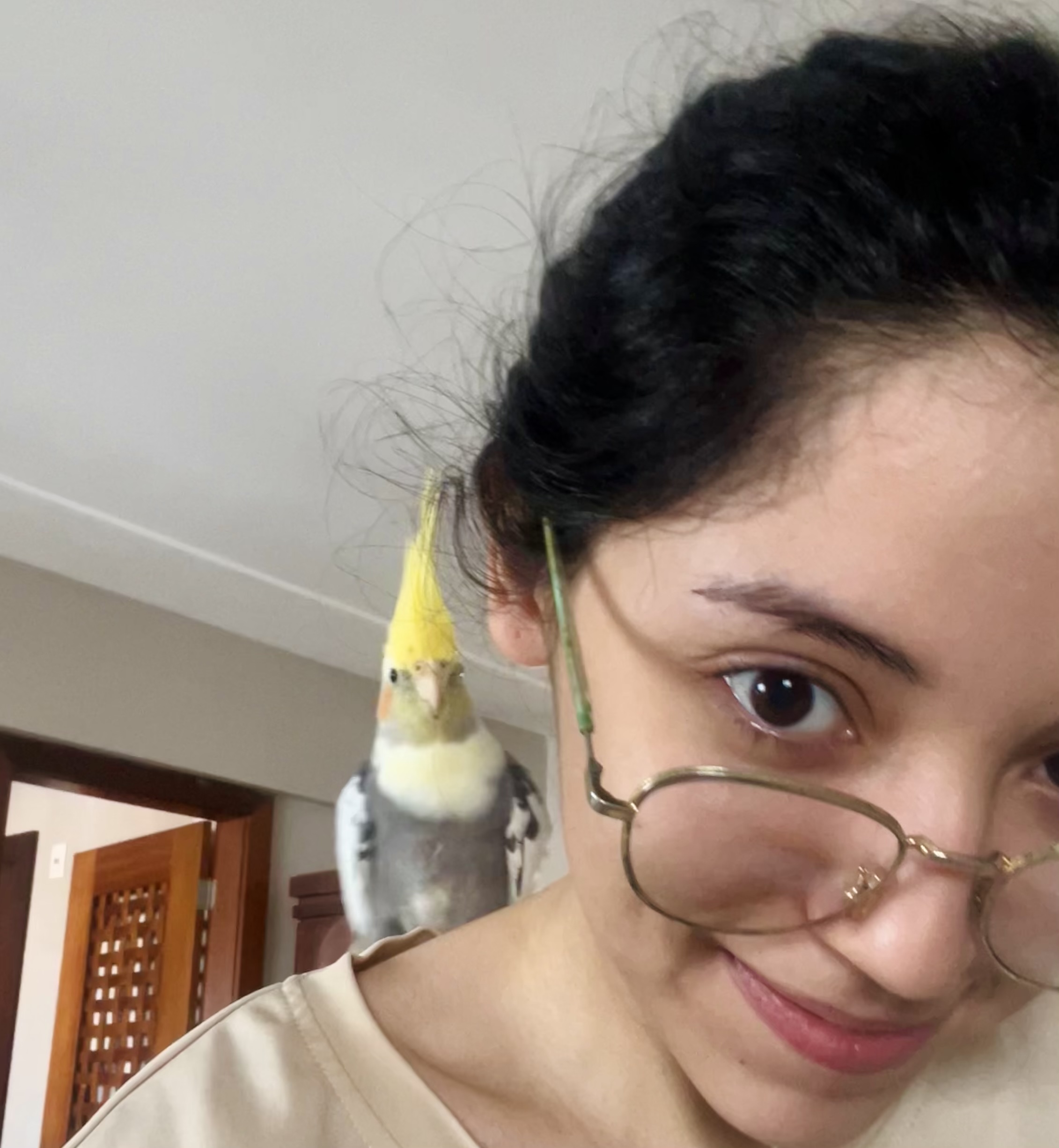 image-6