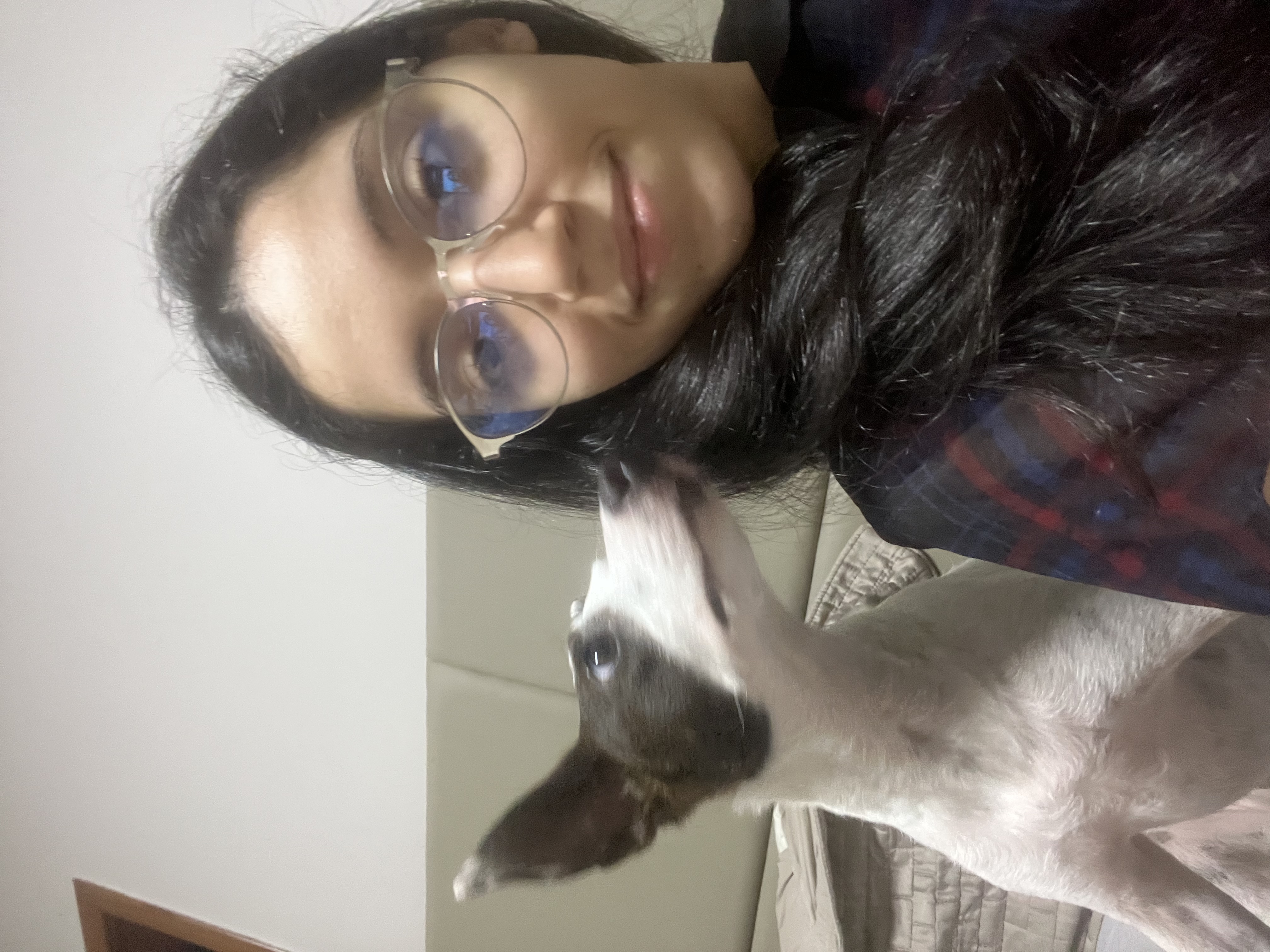 image-7