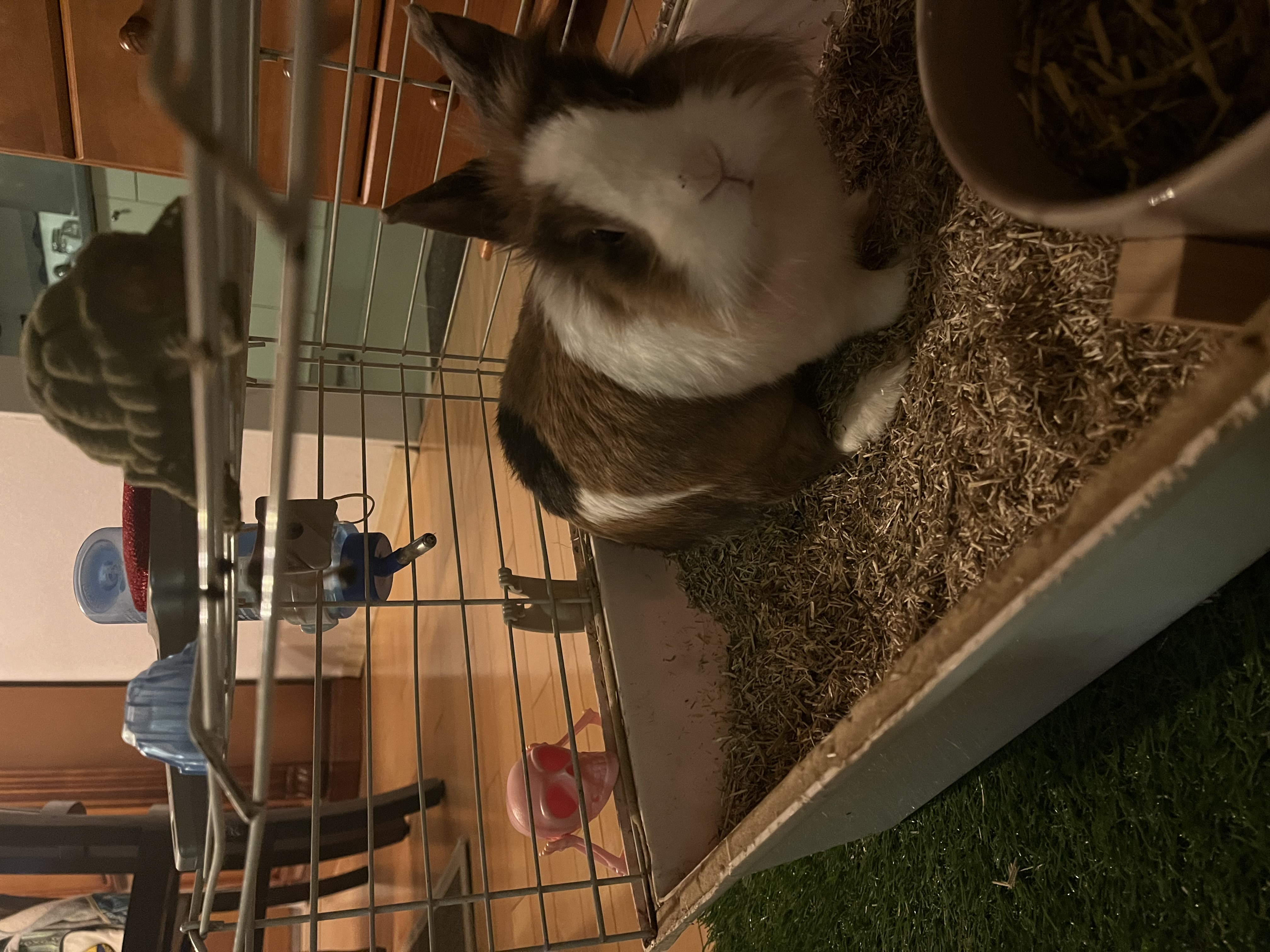 image-6