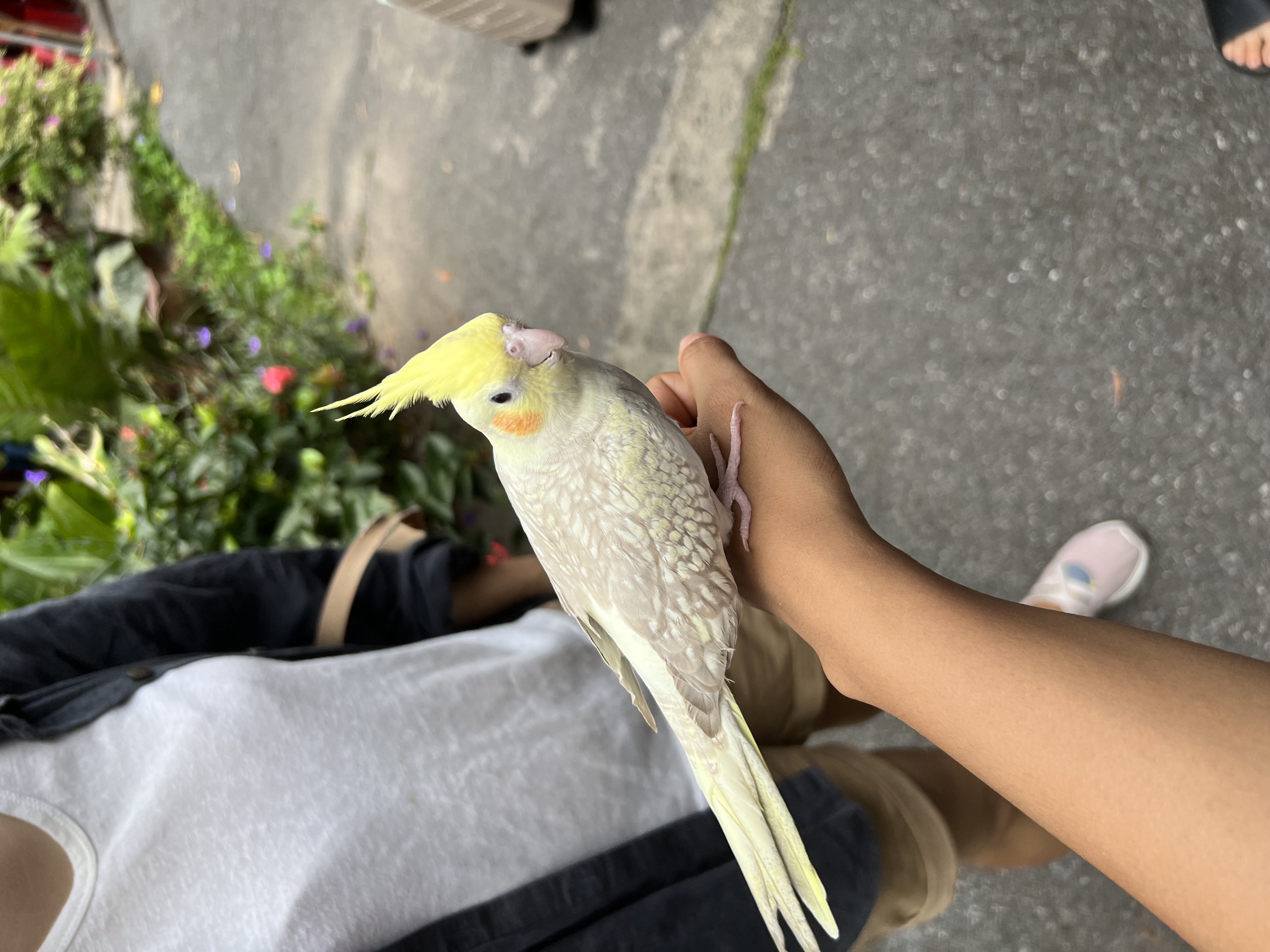 image-7