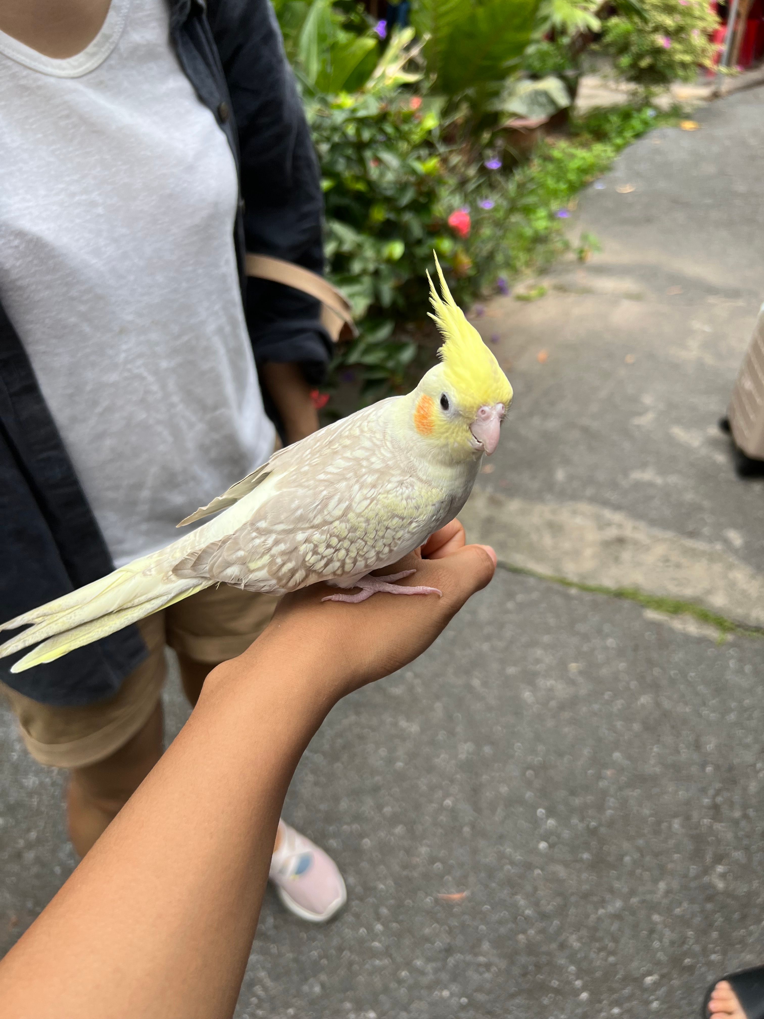 image-7