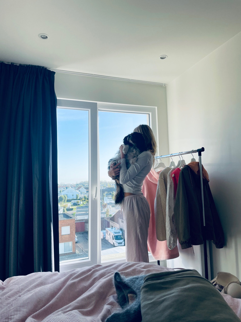 image-9
