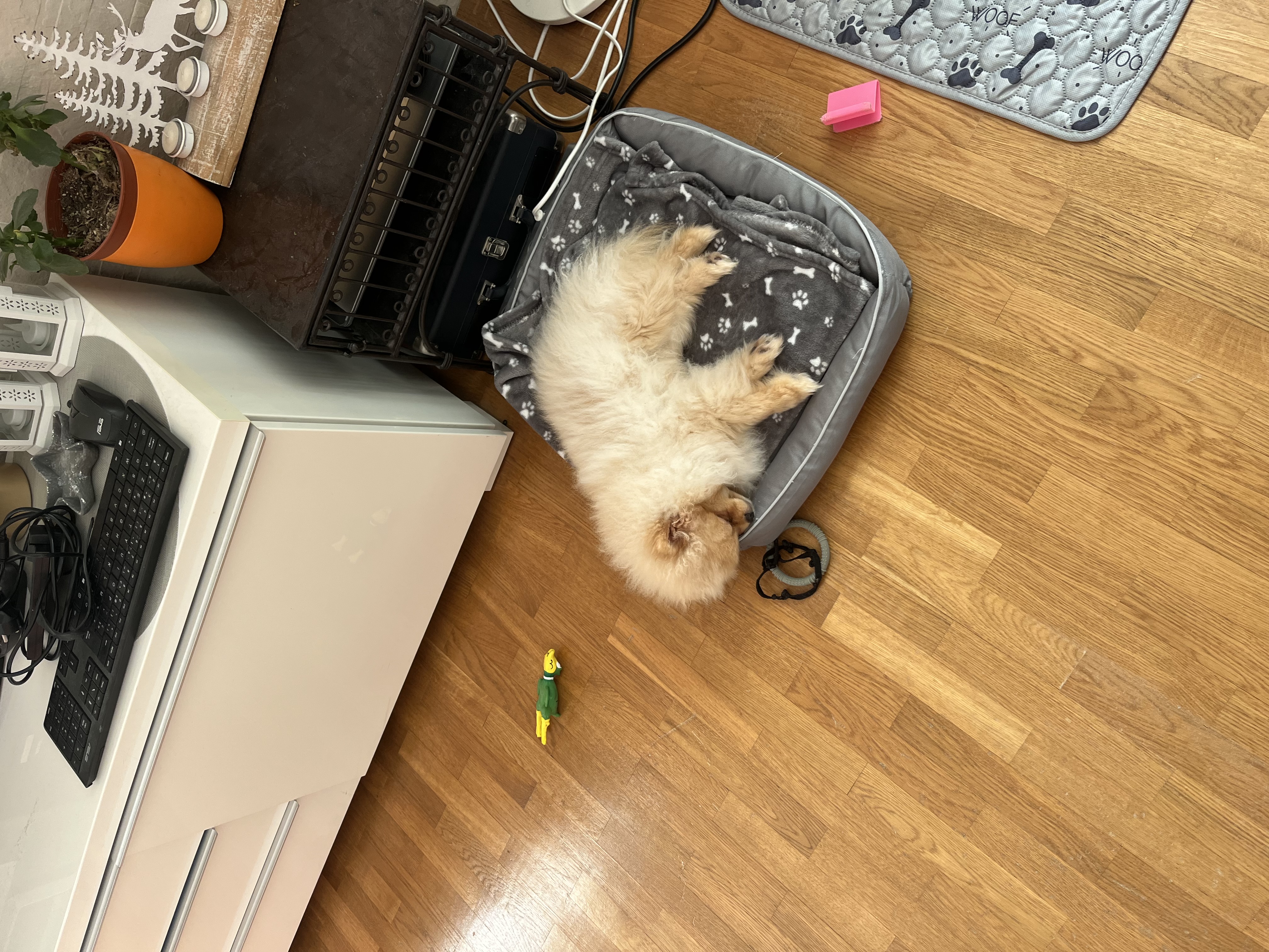 image-14