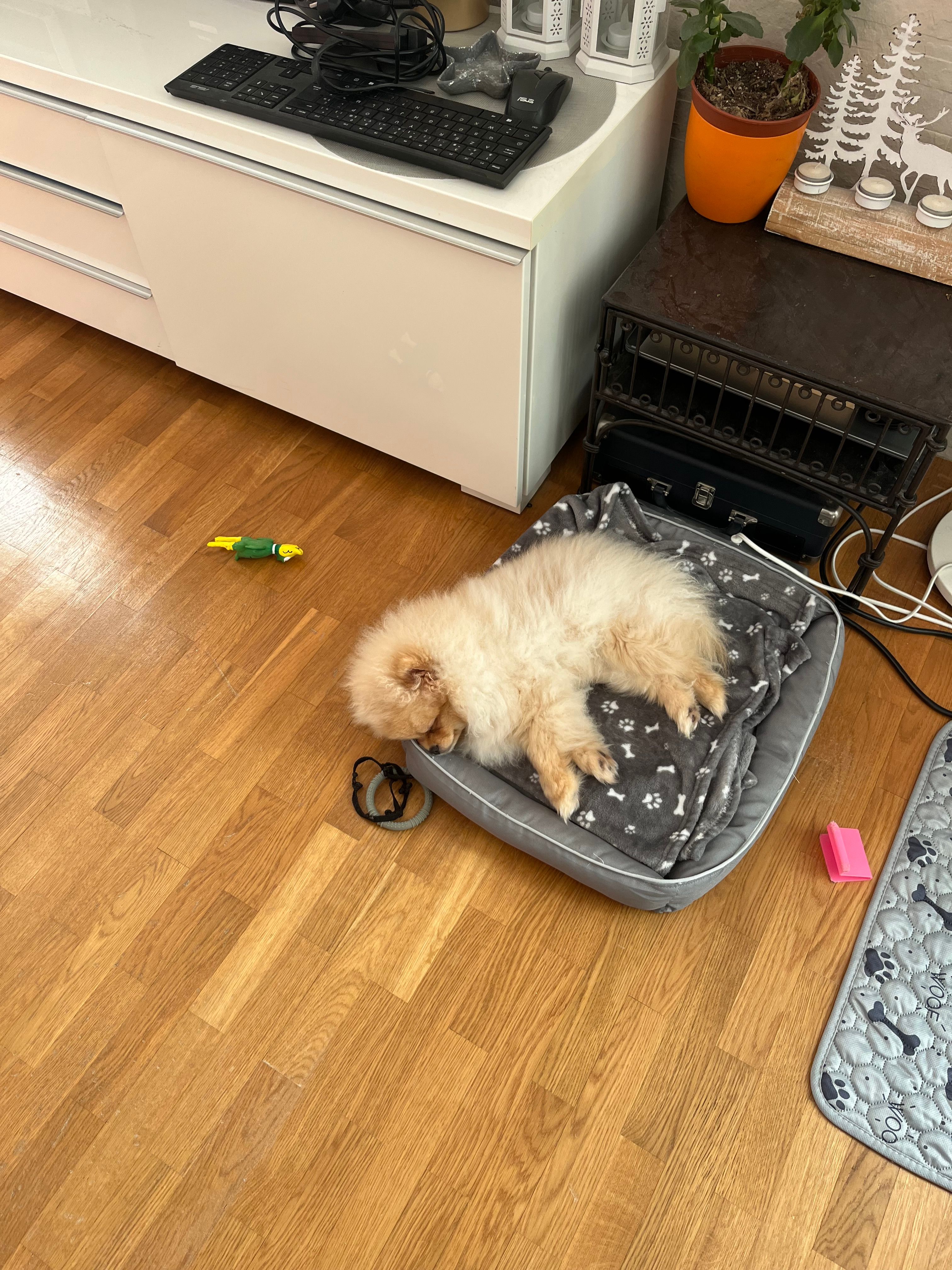 image-14