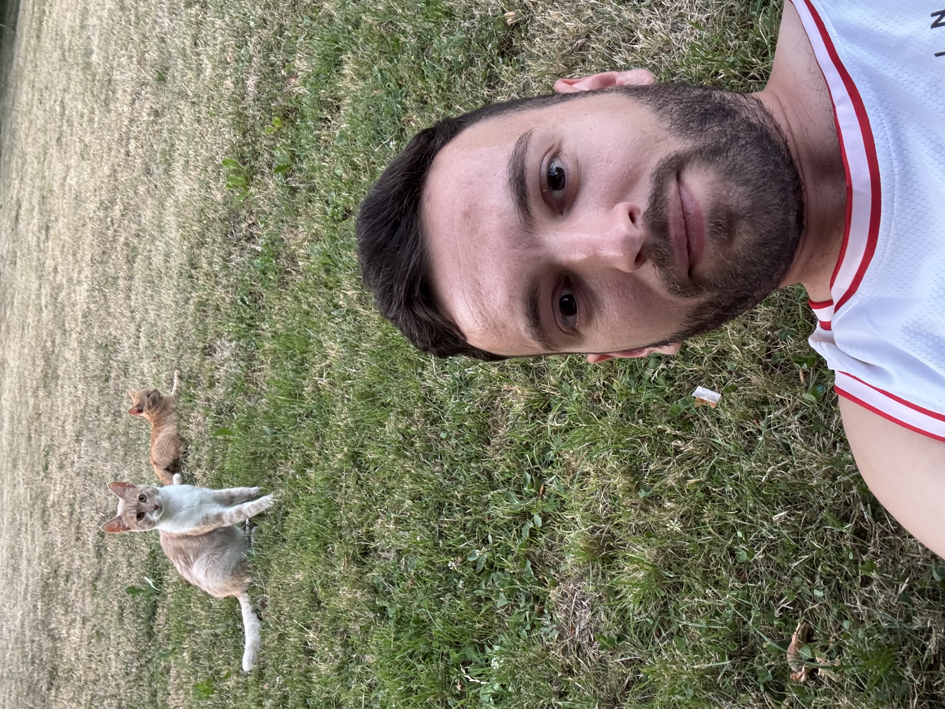 image-5